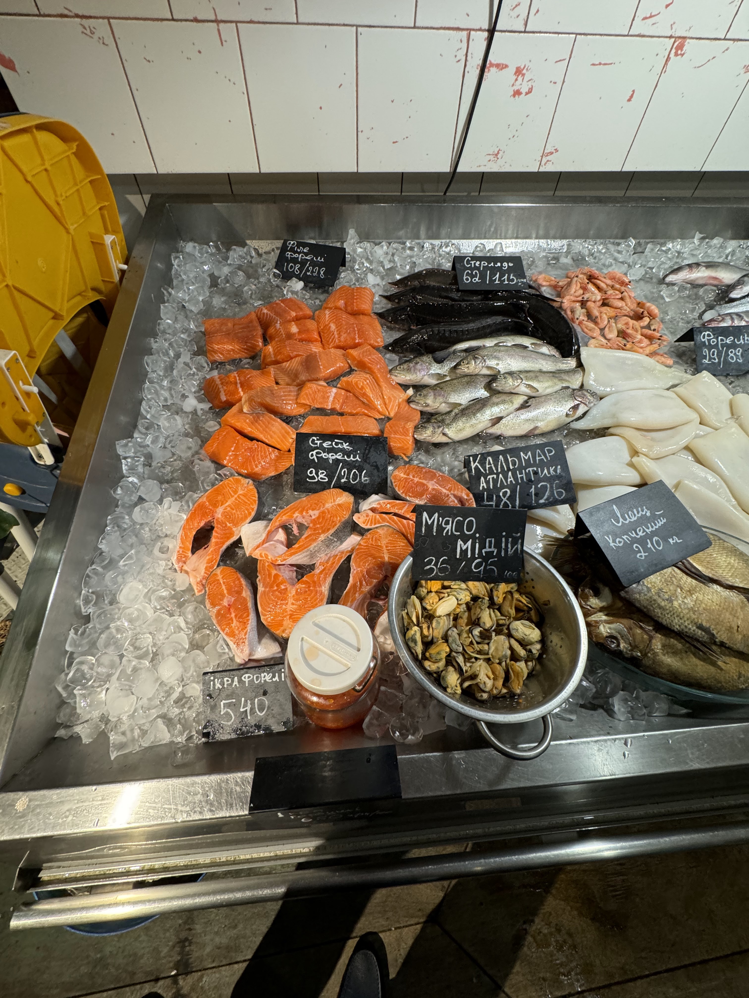 Чорноморка на Соломʼянці image 5