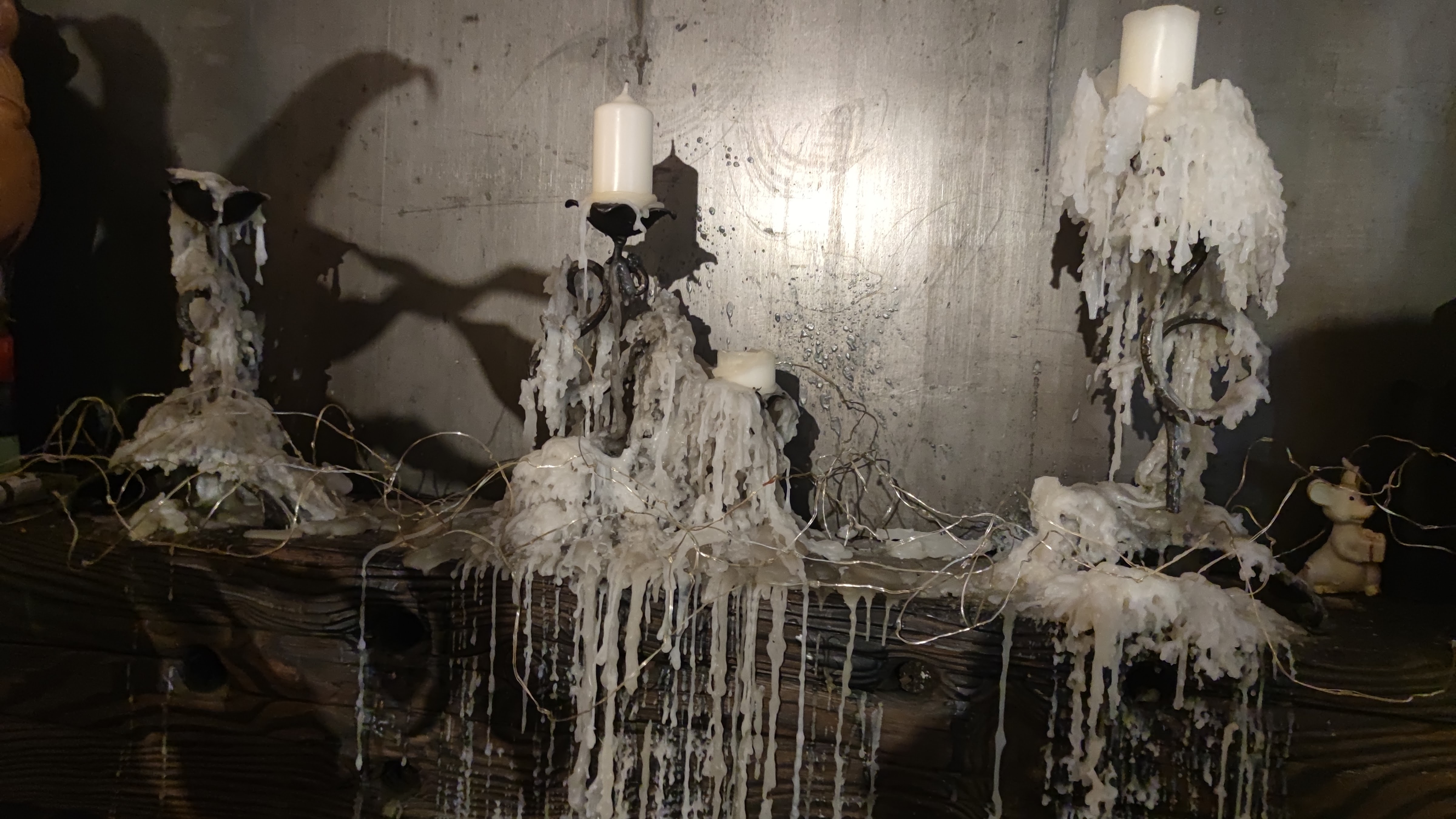 Sorry Vegans image 4