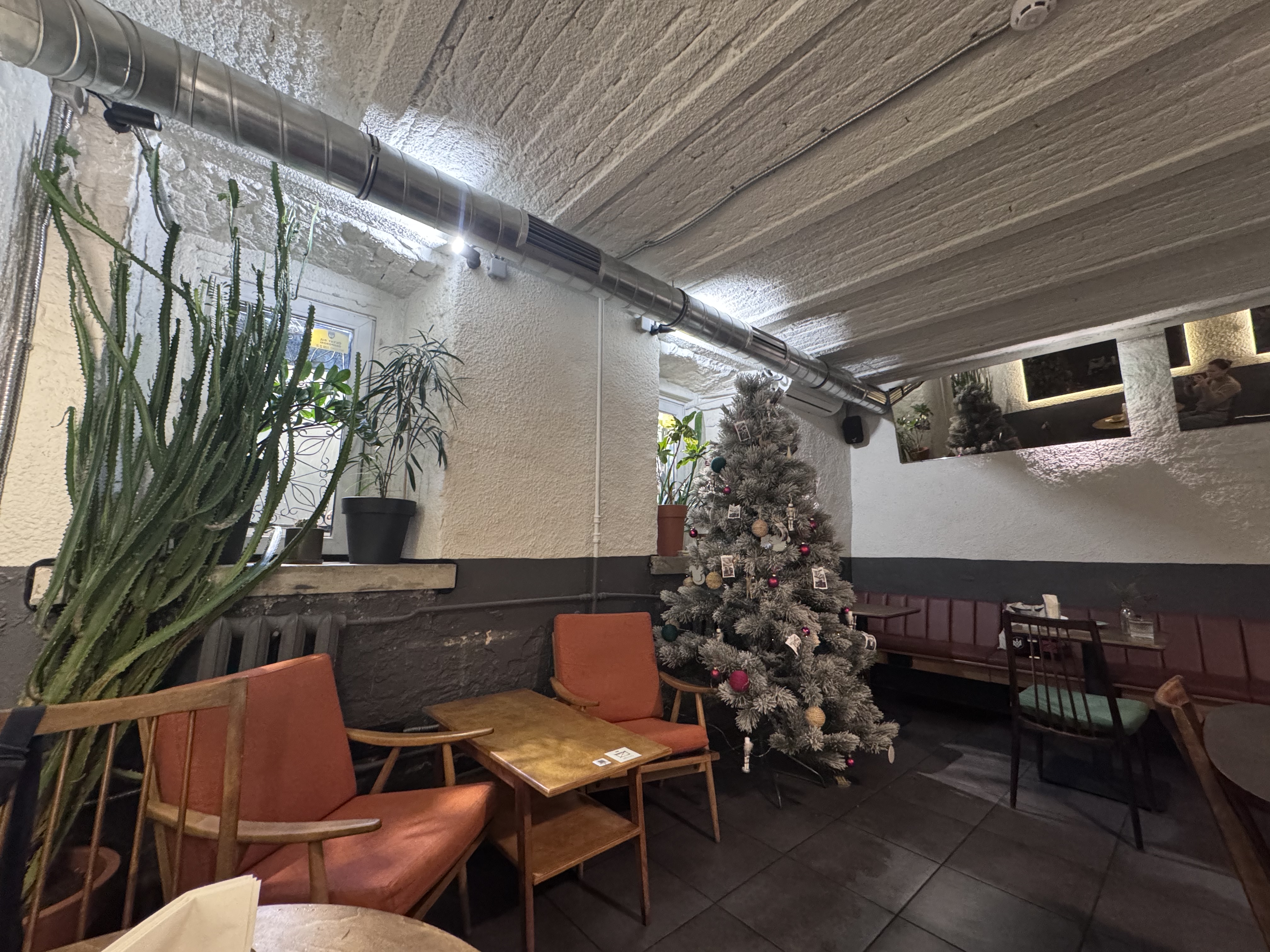 Альпака image 8