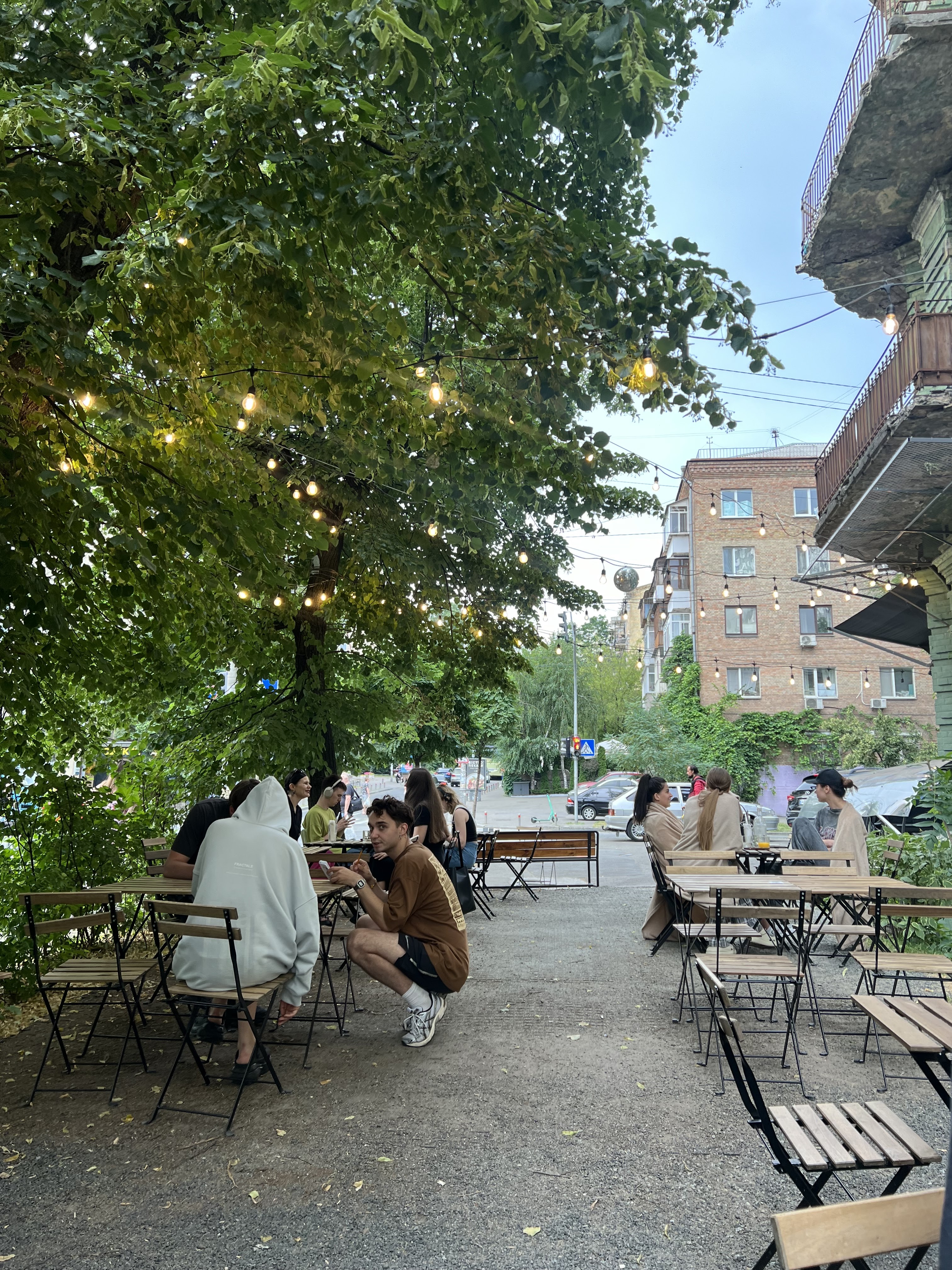 Альпака image 9