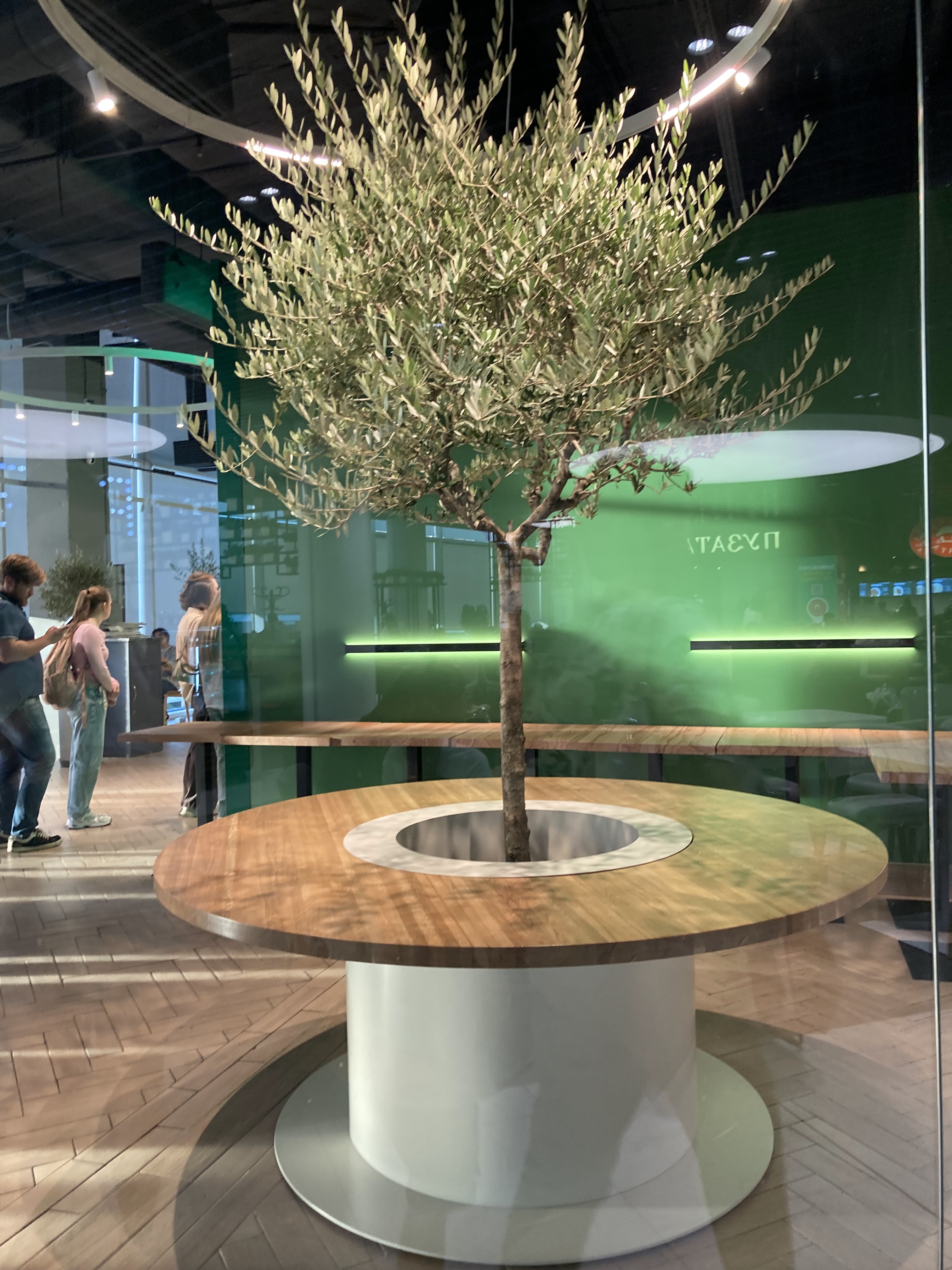 Greek House image 10