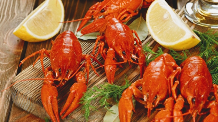 Raki-Club на Дмитрівській image 2