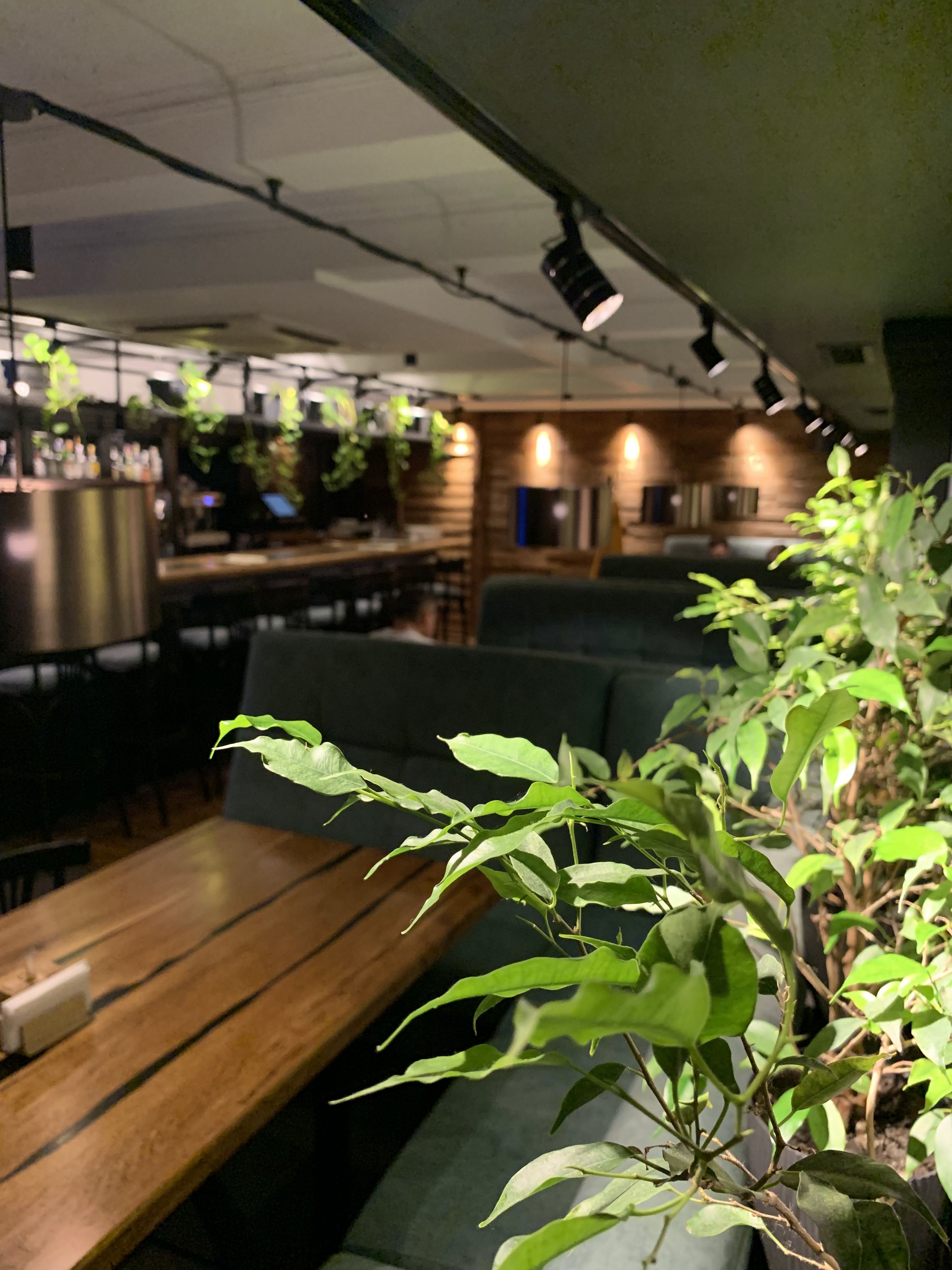 Dobro restaurant&bar image 1