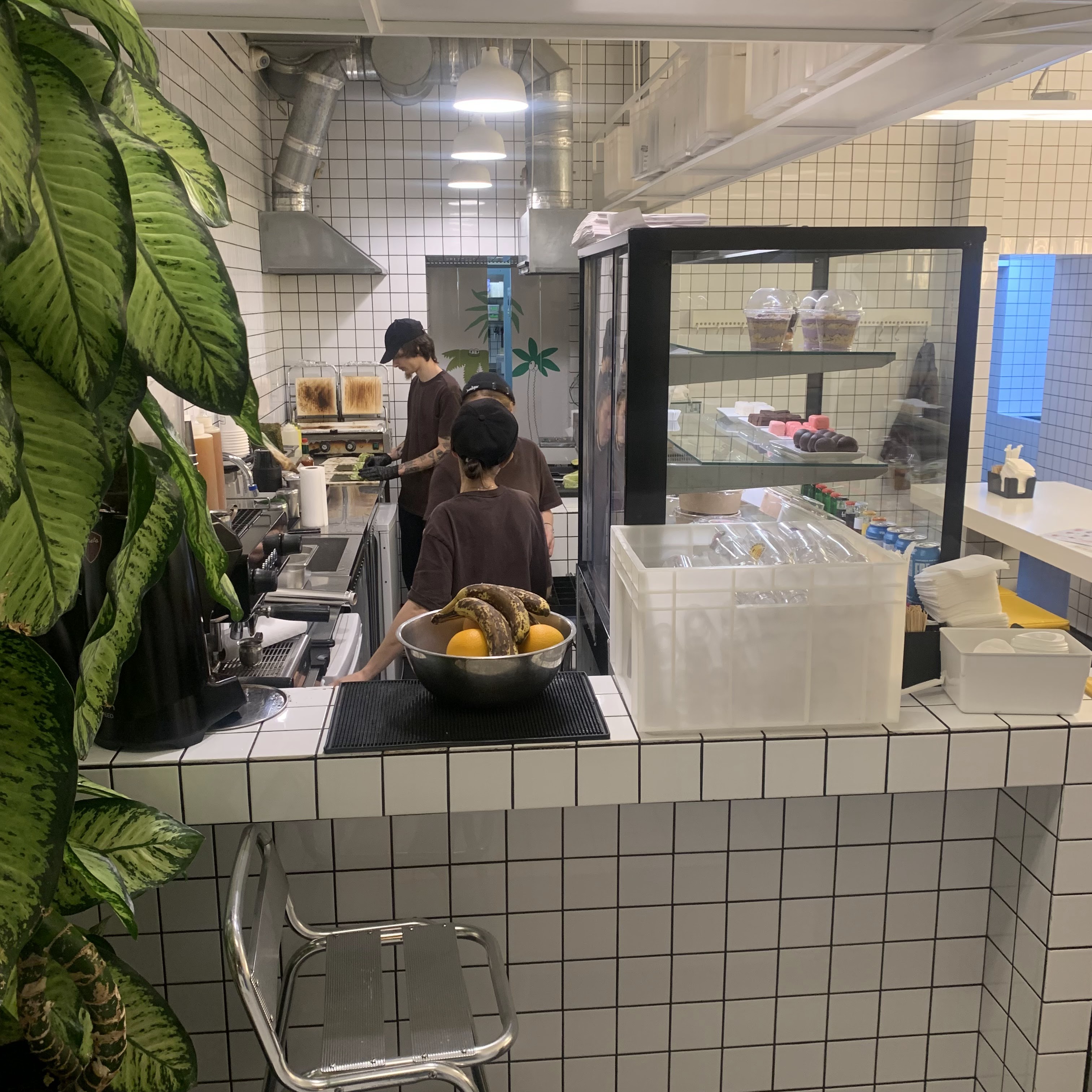 FRUIT+VEG ex (ORANG+UTAN) image 4