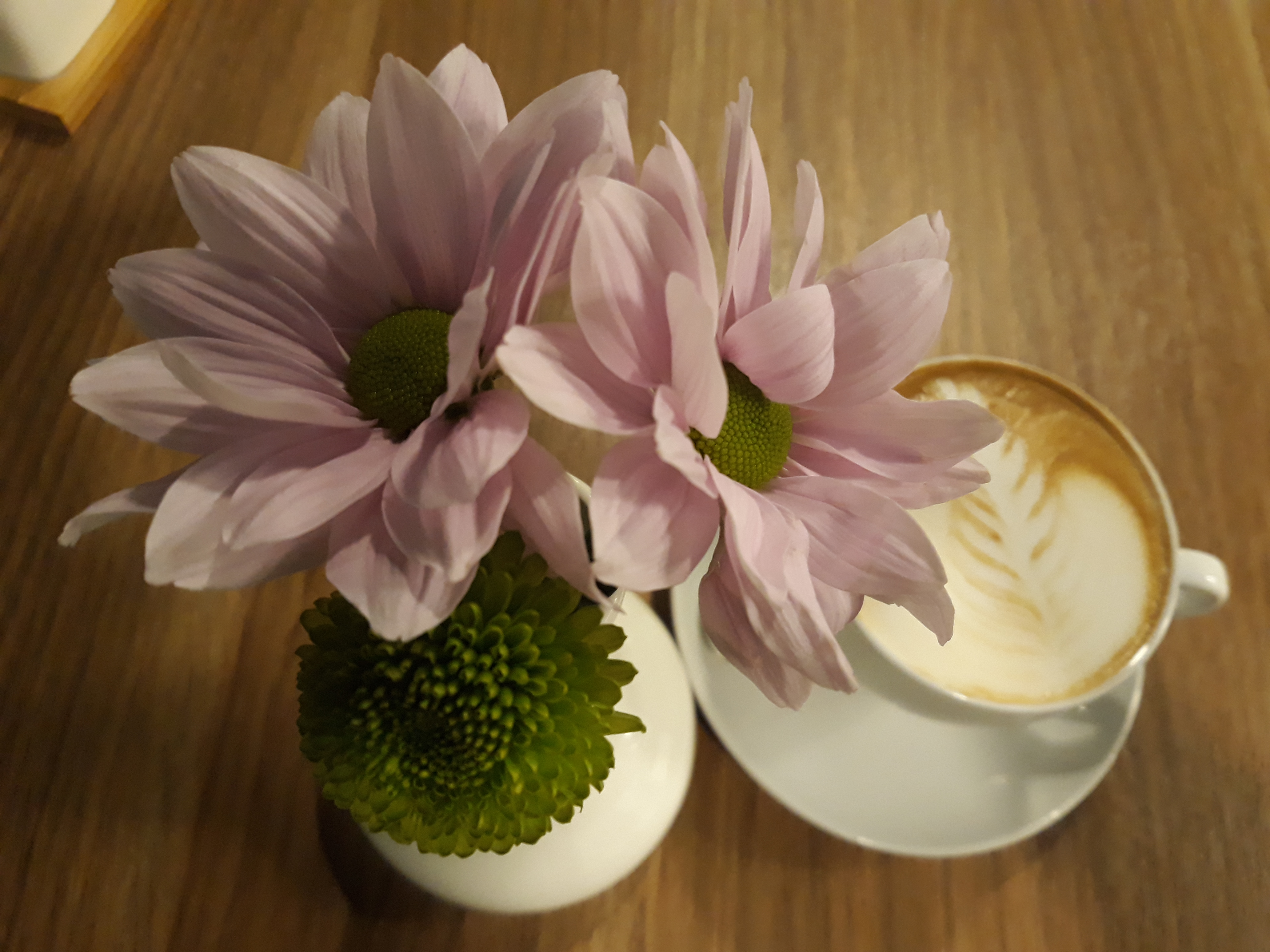 Dinner’s image 8
