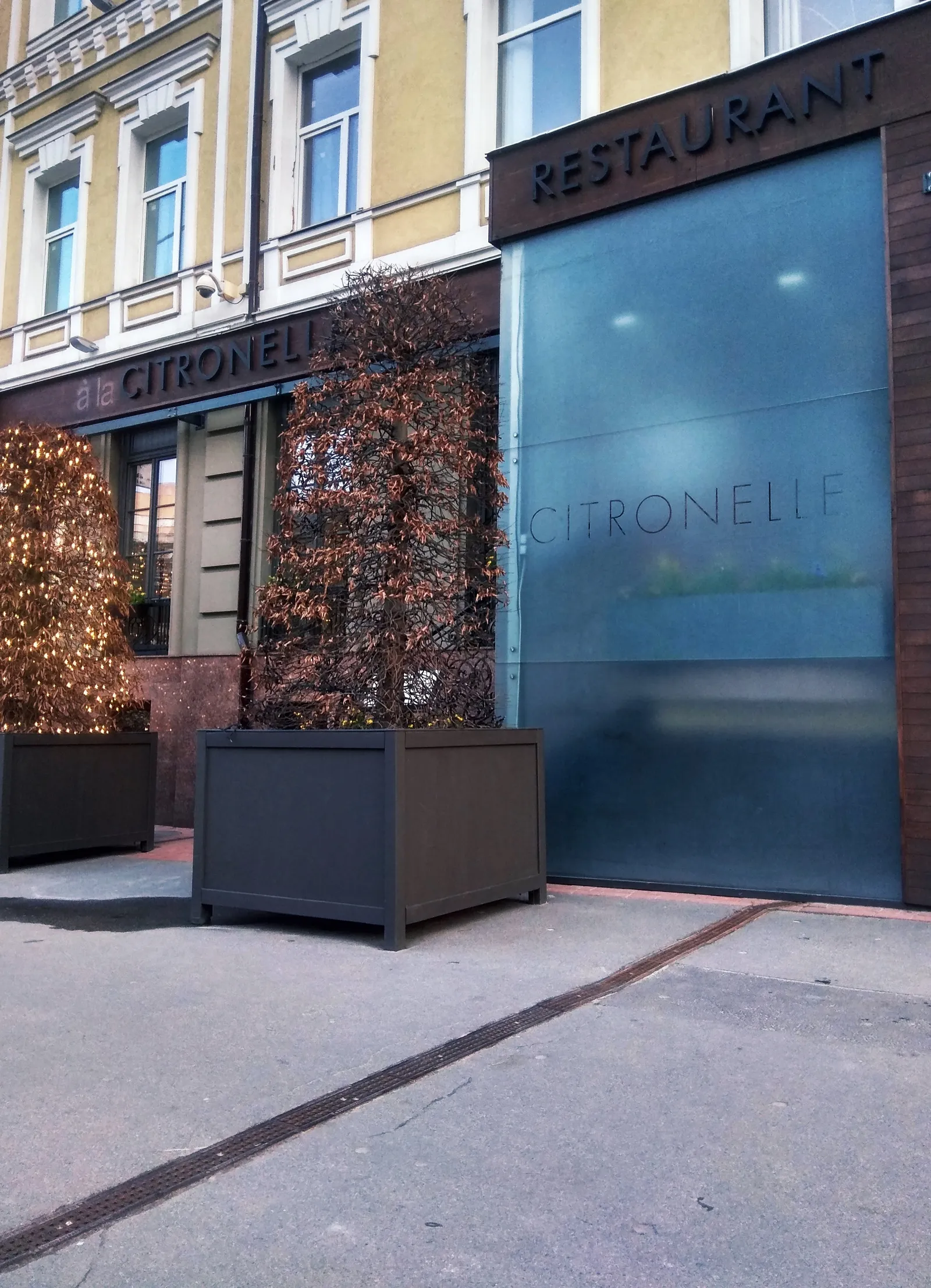 Citronelle image 6