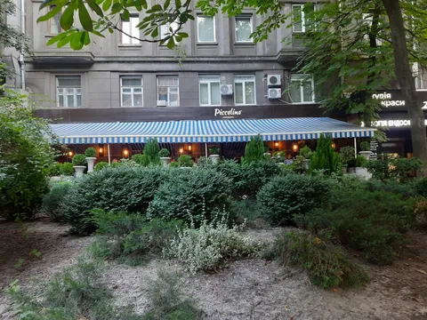 Piccolino image 5