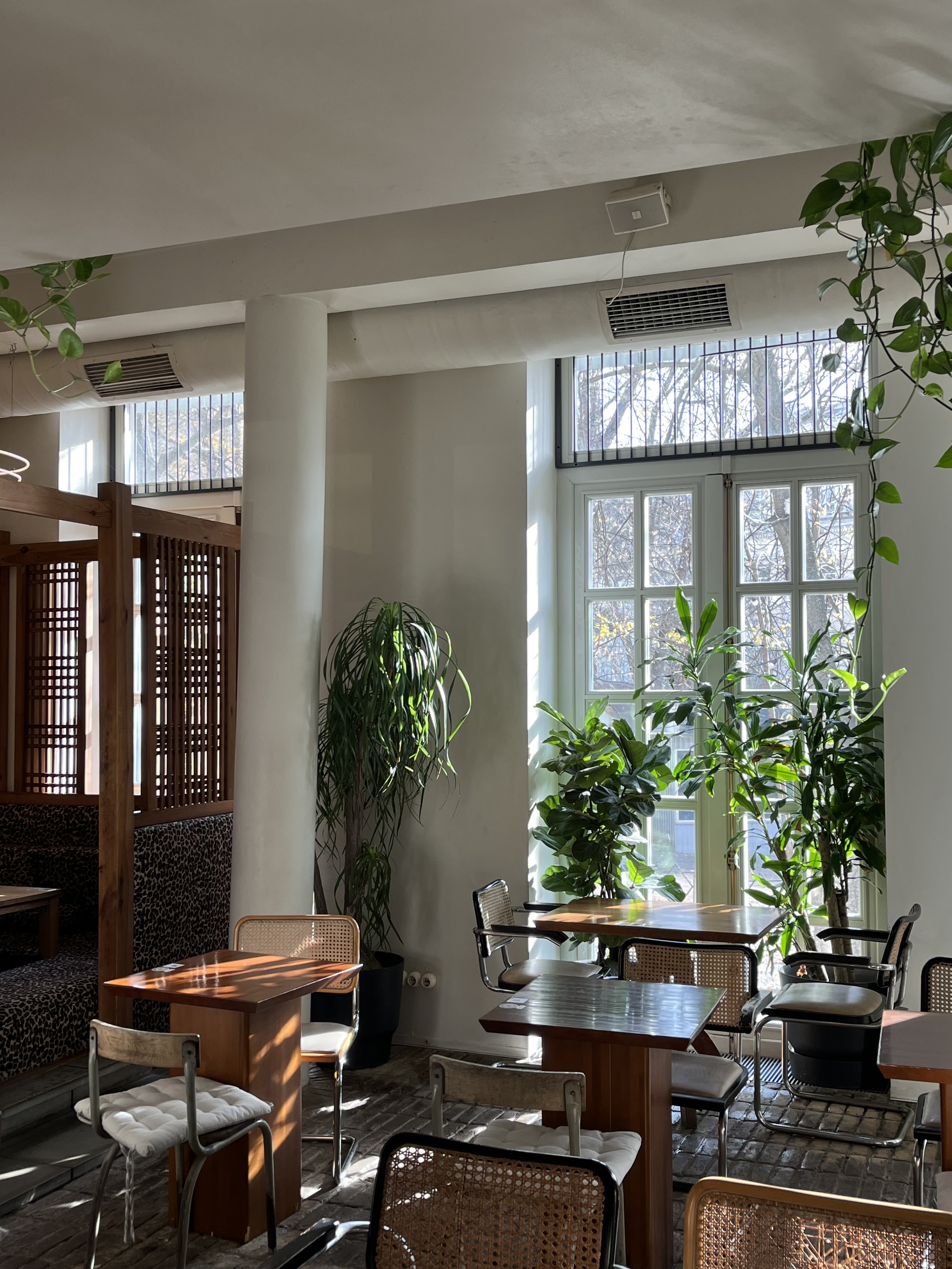 Тайський Привіт image 5