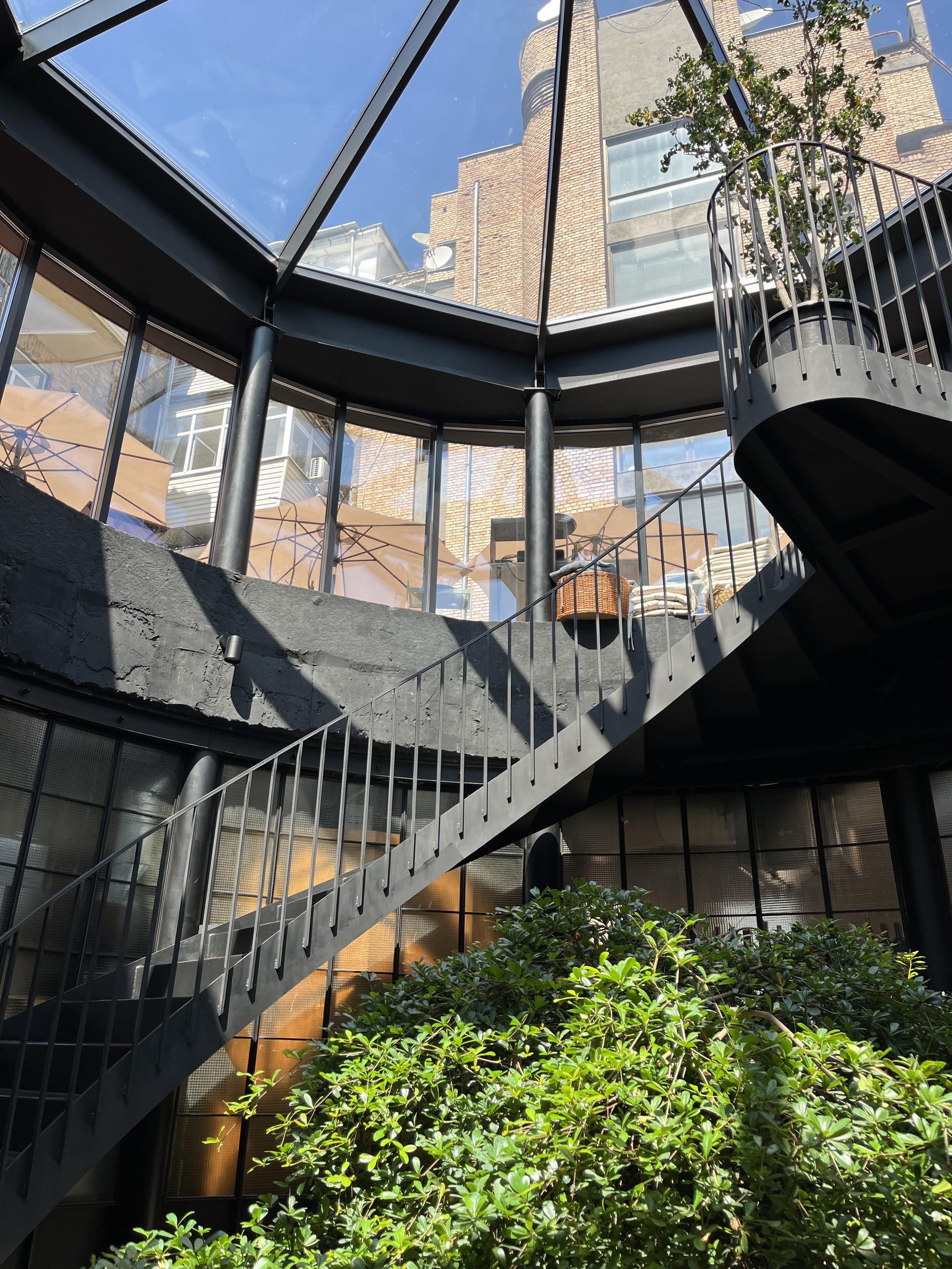 Yaponsʹkyy Pryvit image 6