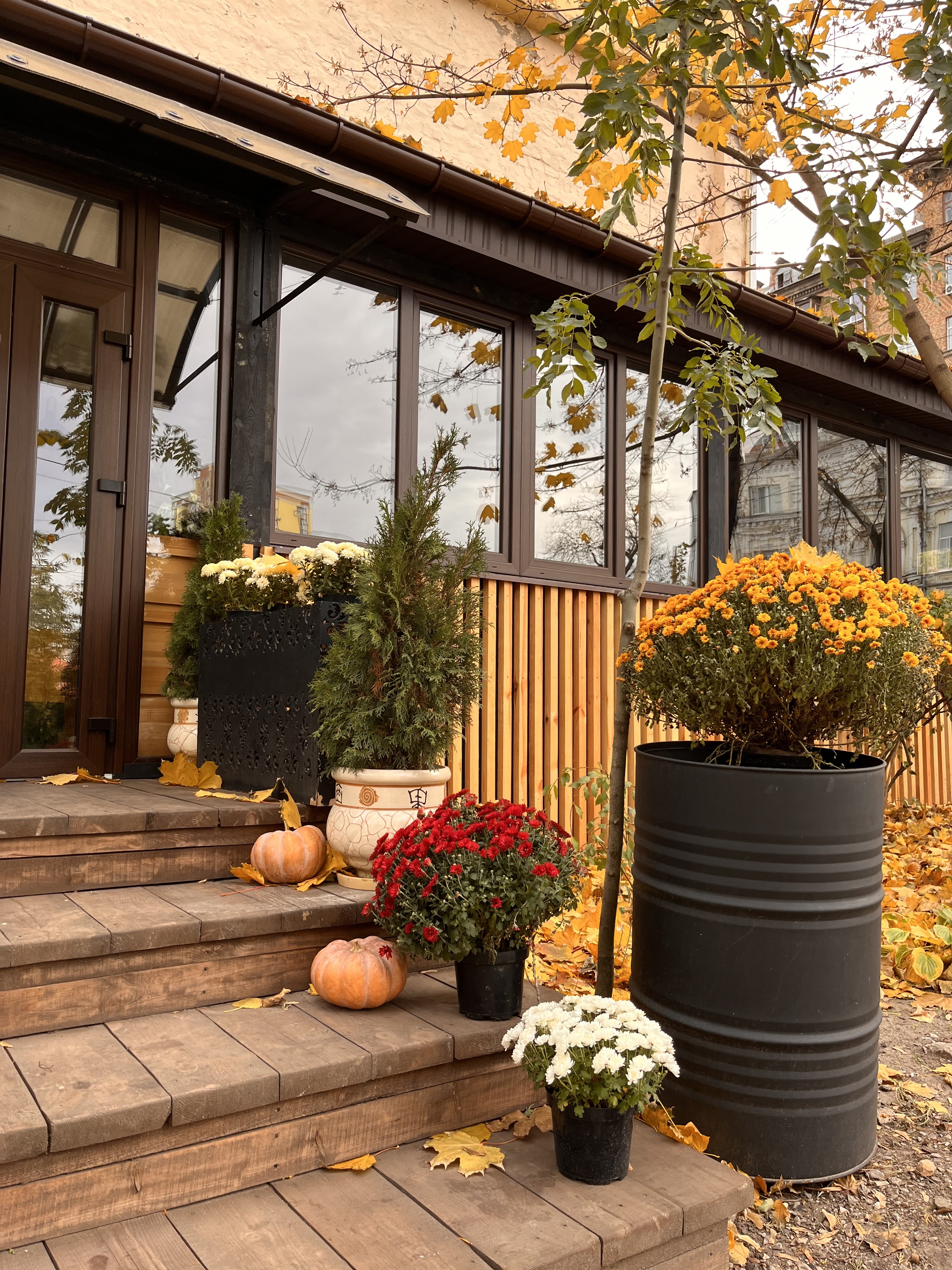 Veranda на Січових image 3