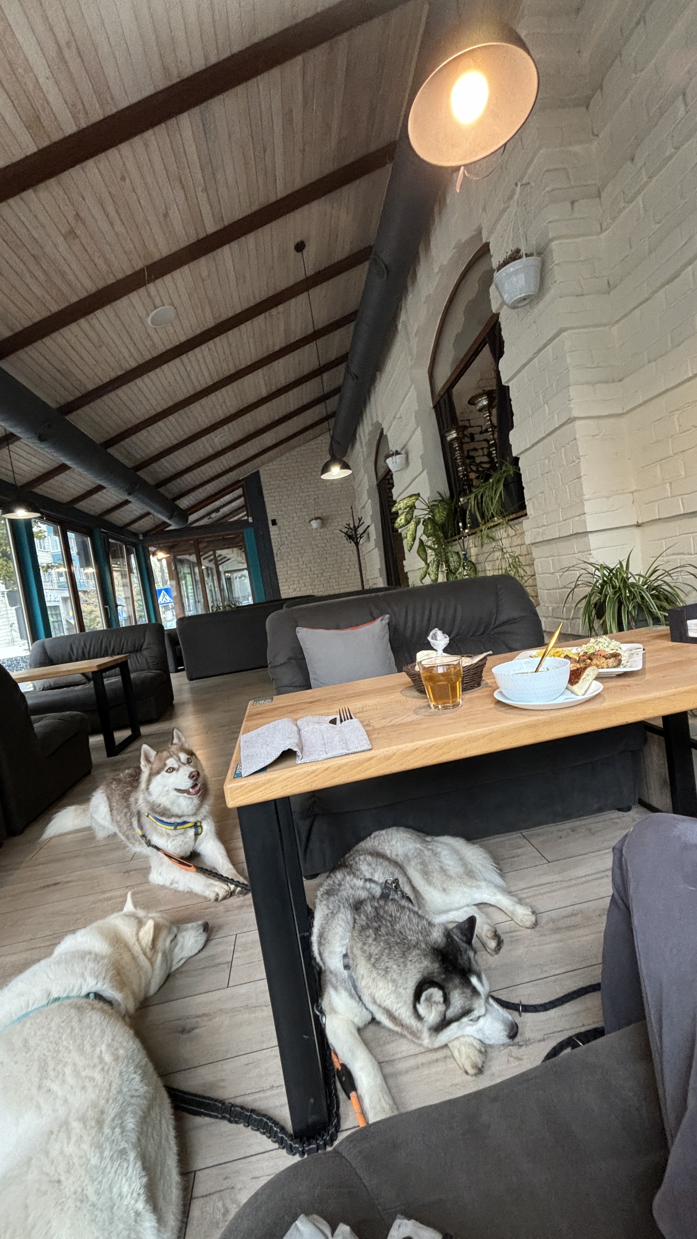 Ghost Garden image 3