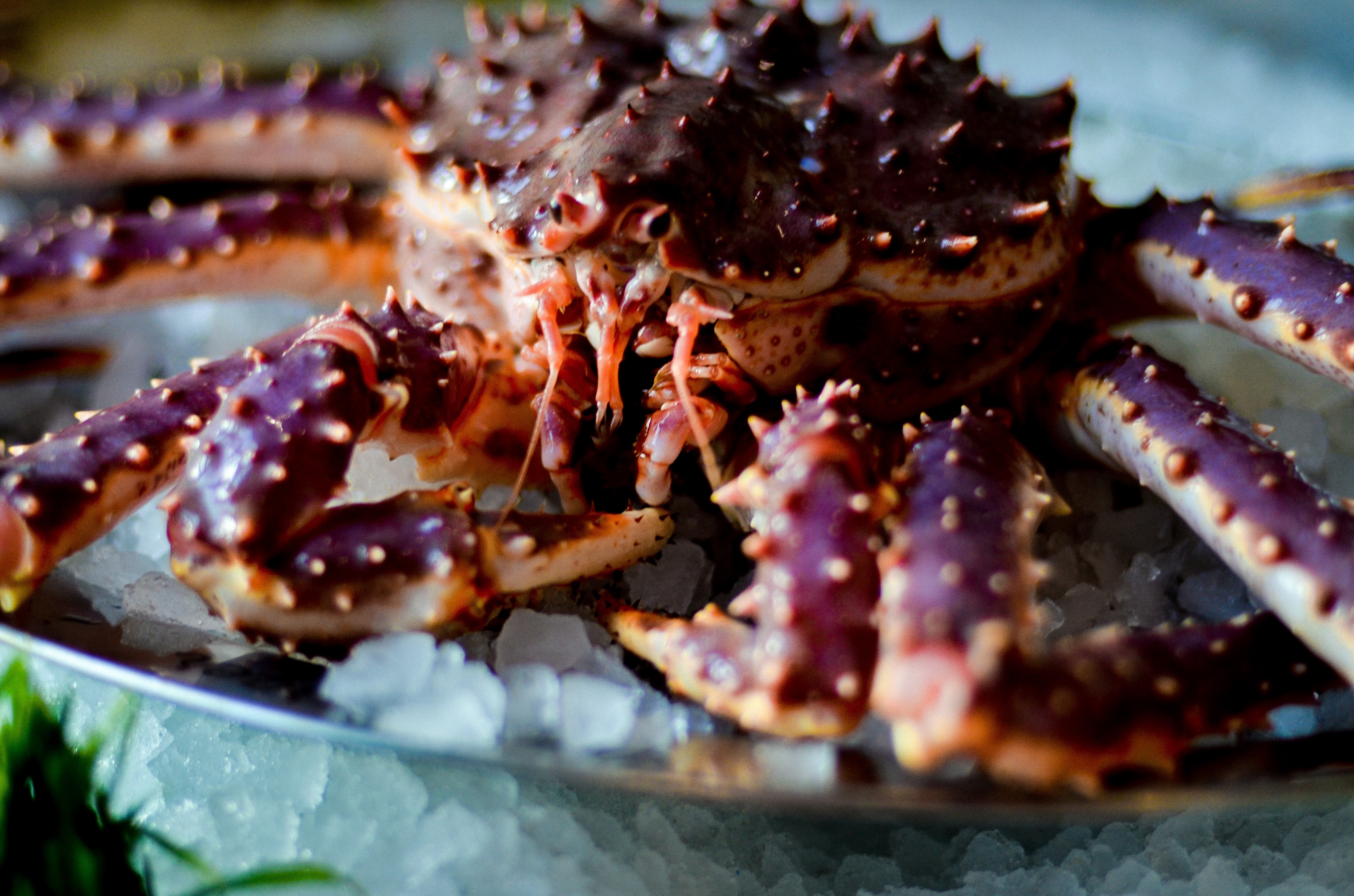 Crab's Burger image 9