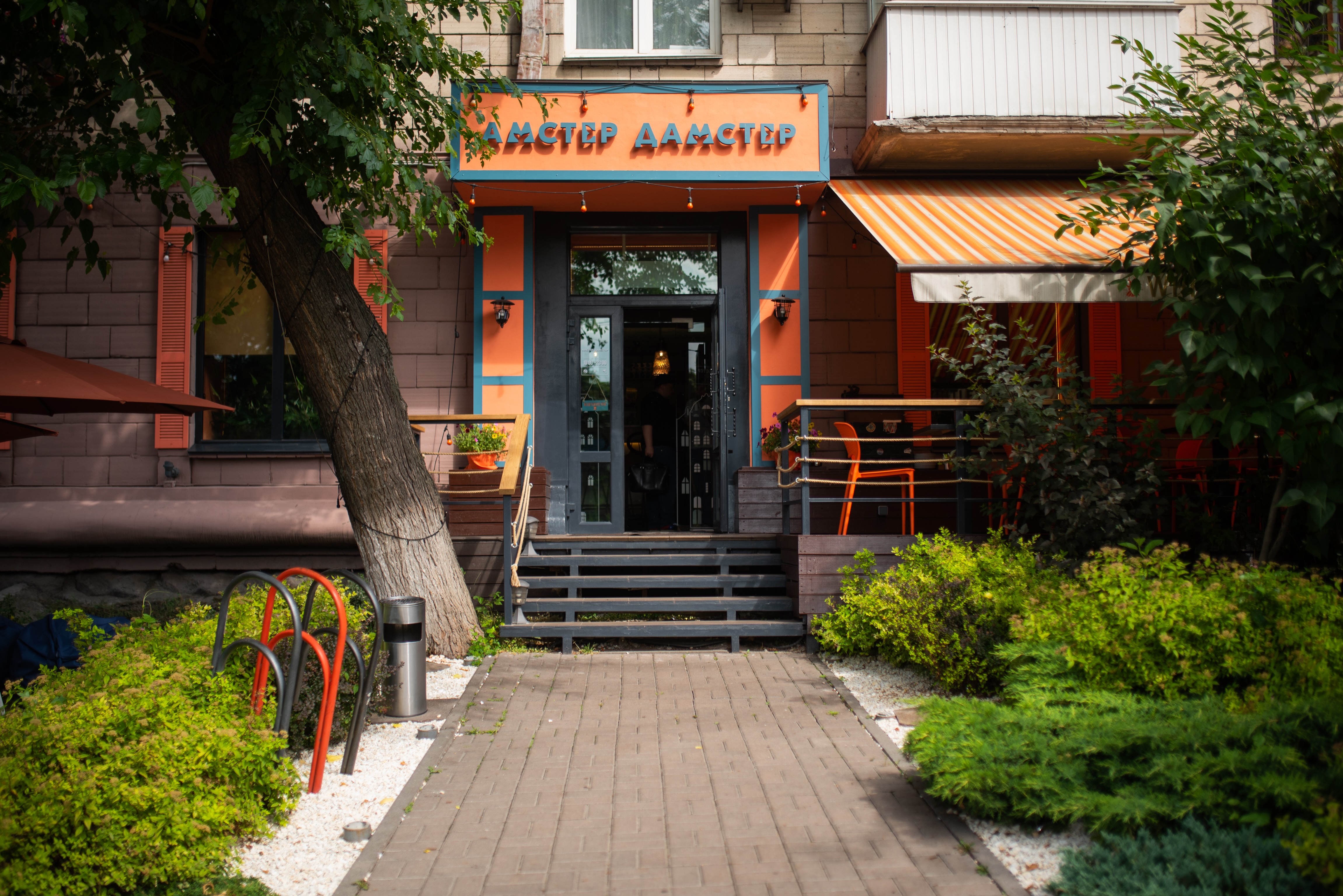 Amster Damster image 1