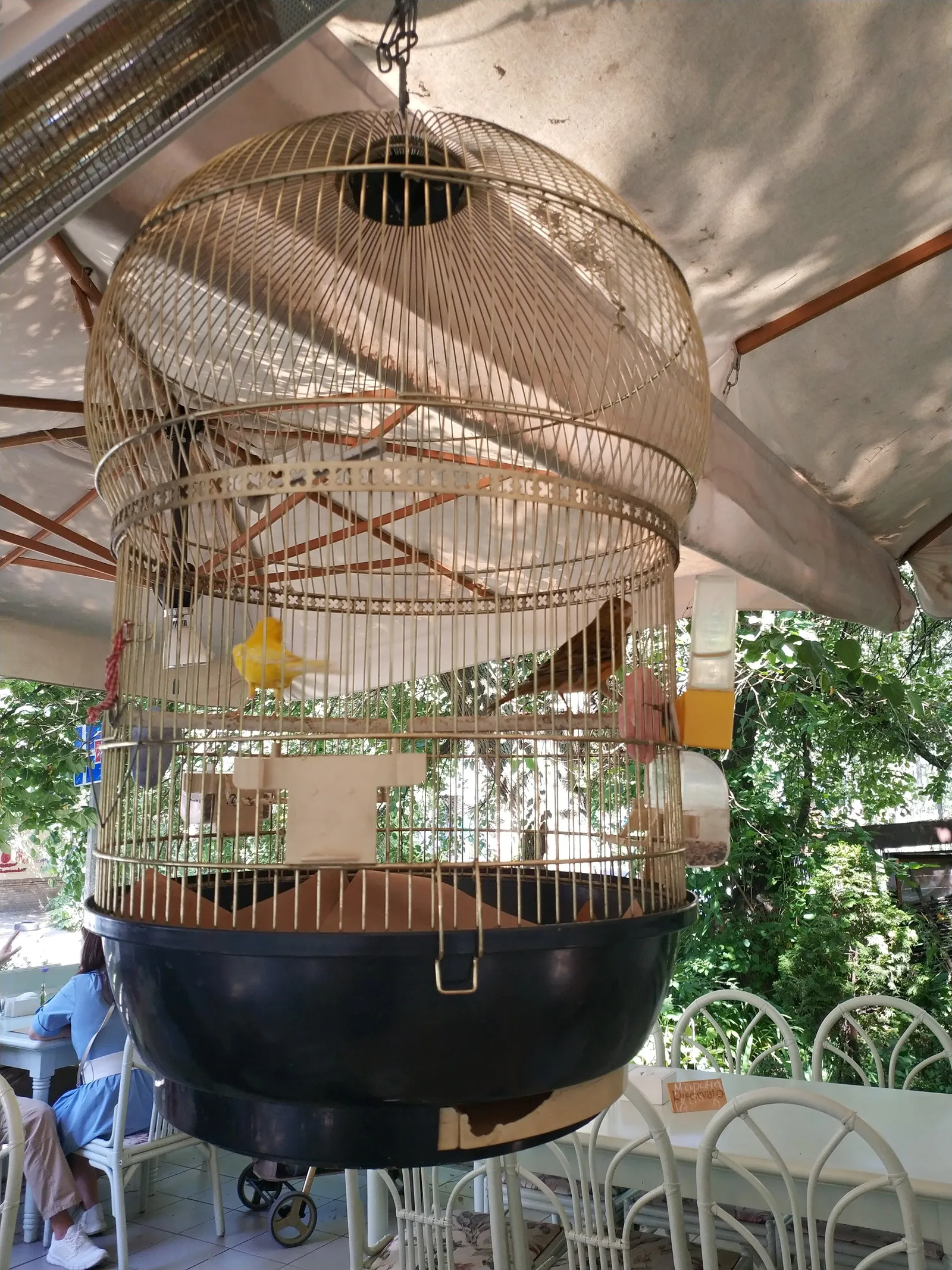 Trattoria No 5 image 8