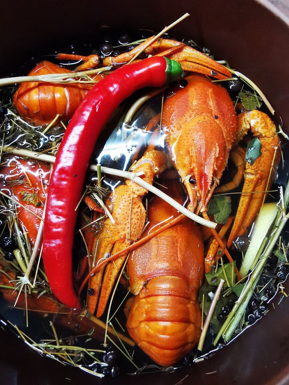 Київська Раковарня | Живі та варені раки, доставка раків Київ. image 10