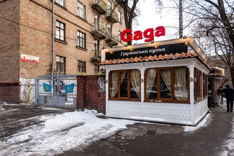 Gaga image 1