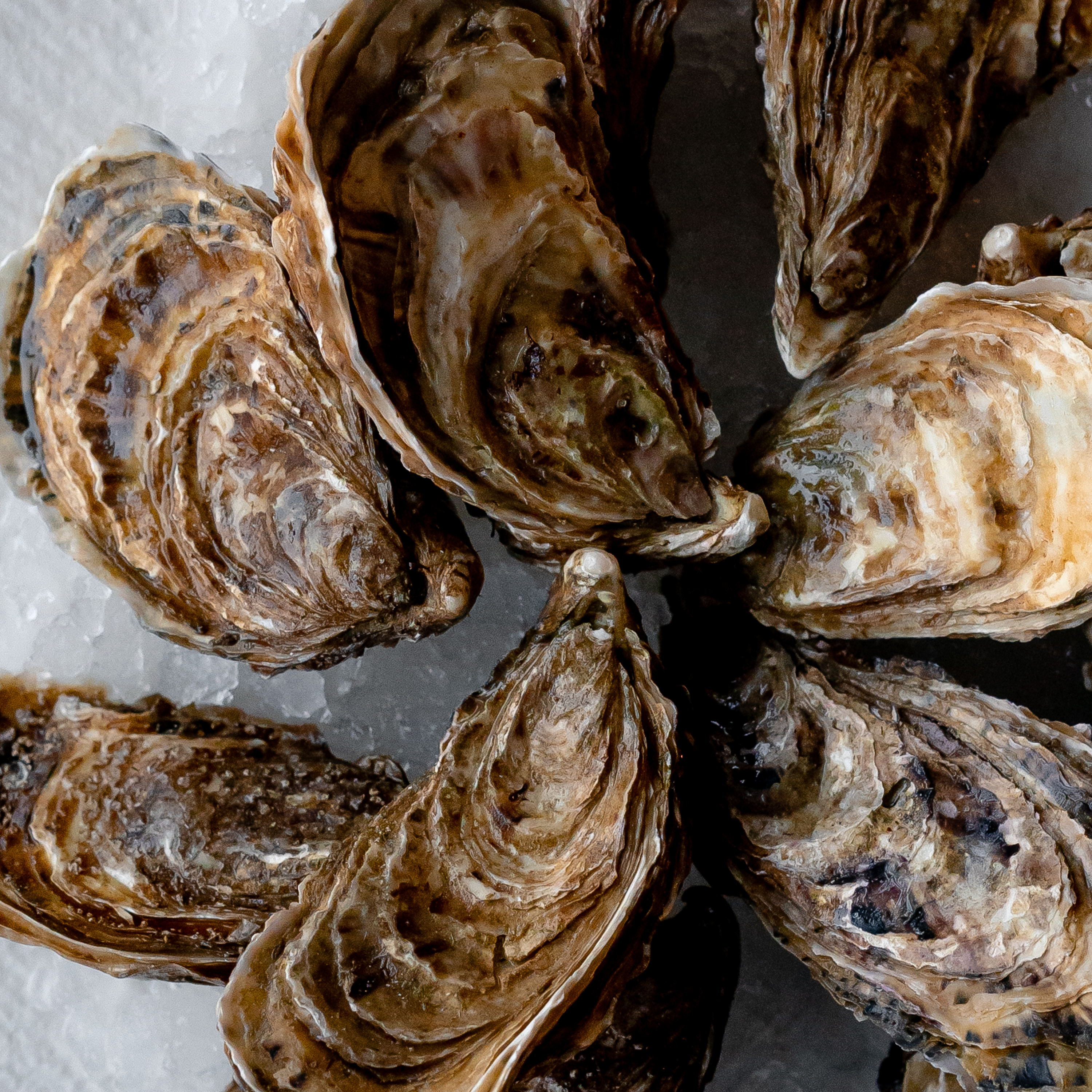 Porto Maltese image 6