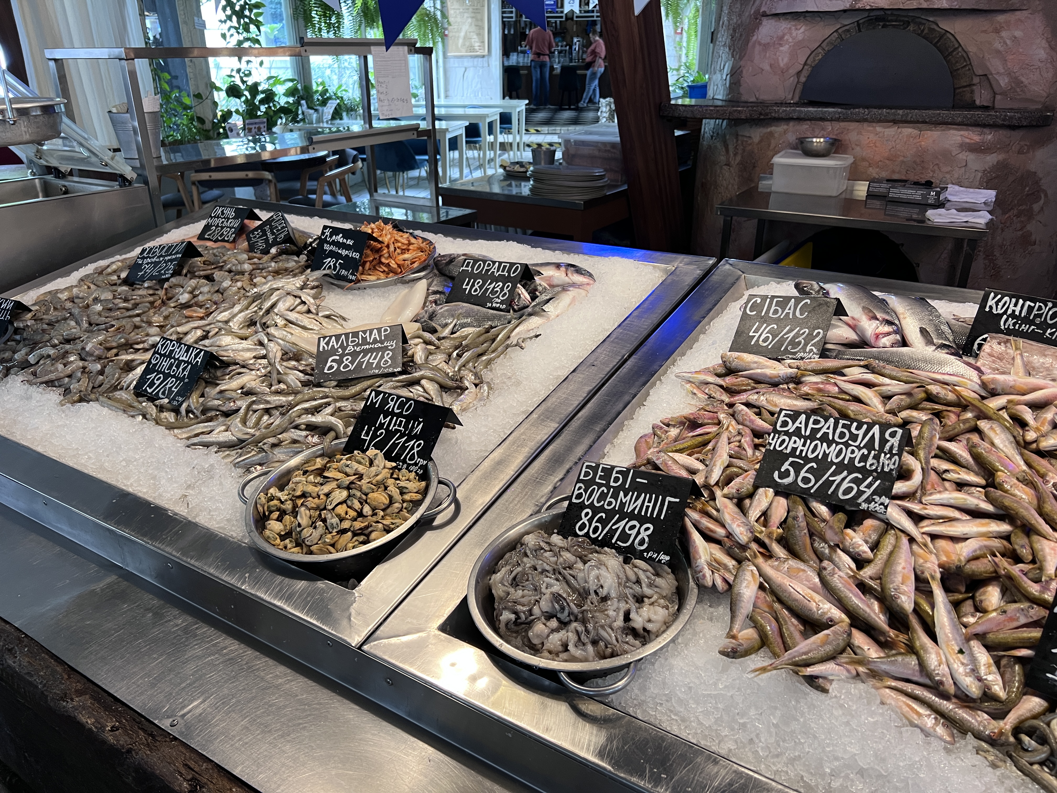 Chernomorka on V. Vasylkivska image 5