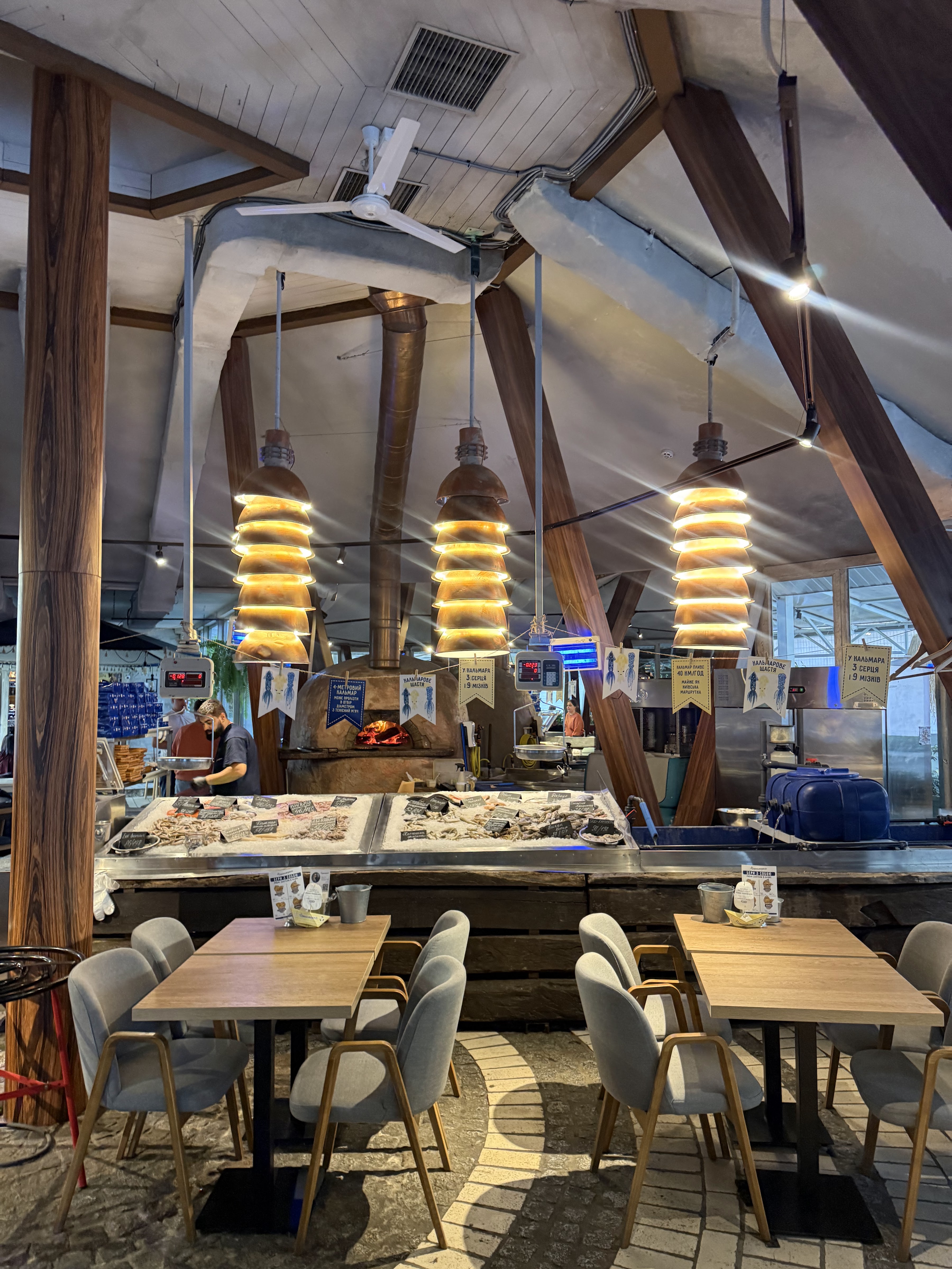 Chernomorka on V. Vasylkivska image 9