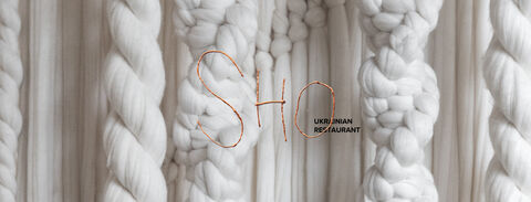 SHO image 3