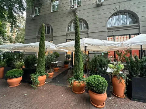 SARTO image 3