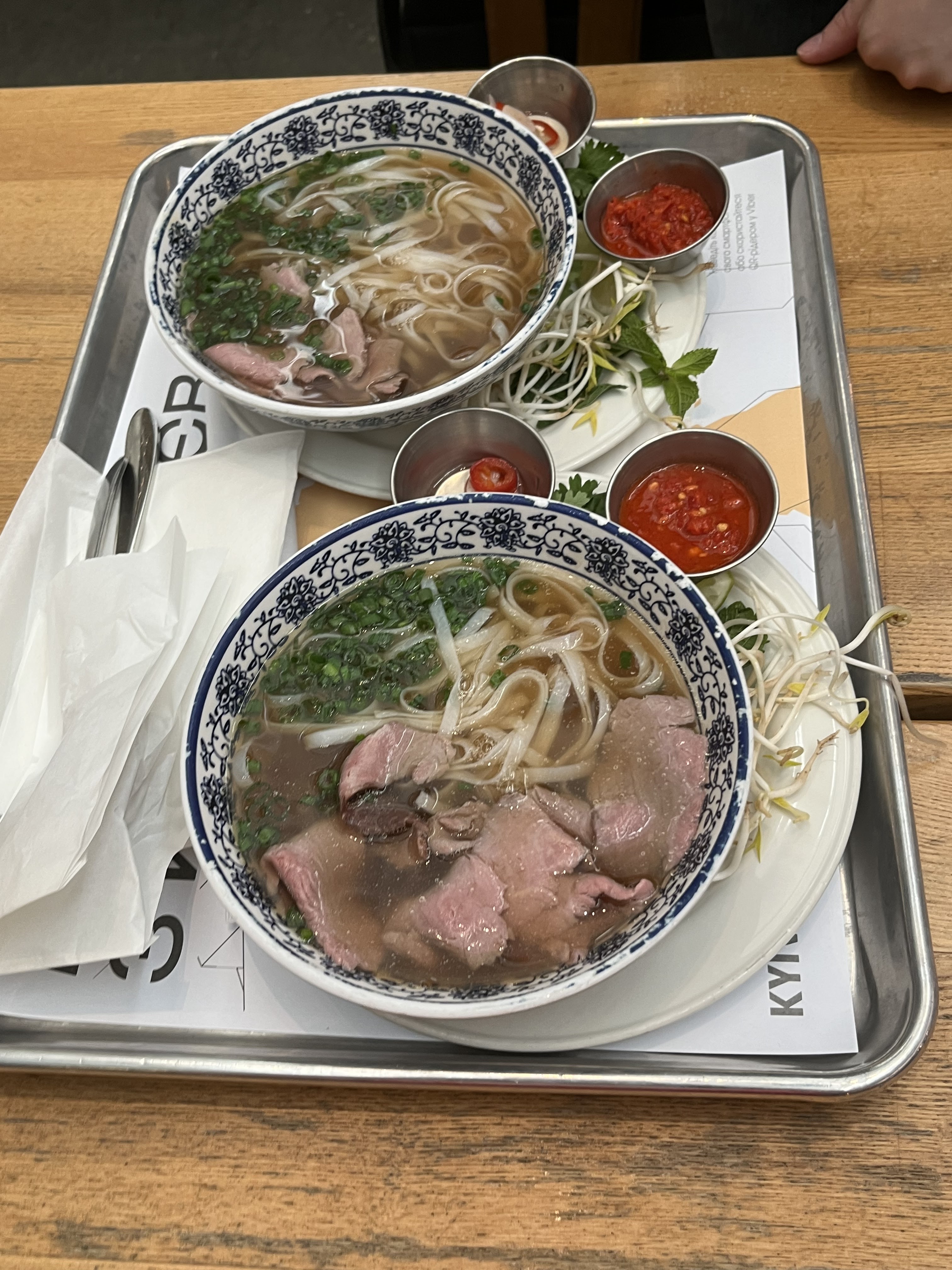 V'yetnamsʹkyy Pryvit image 2