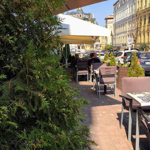 V rebro image 1