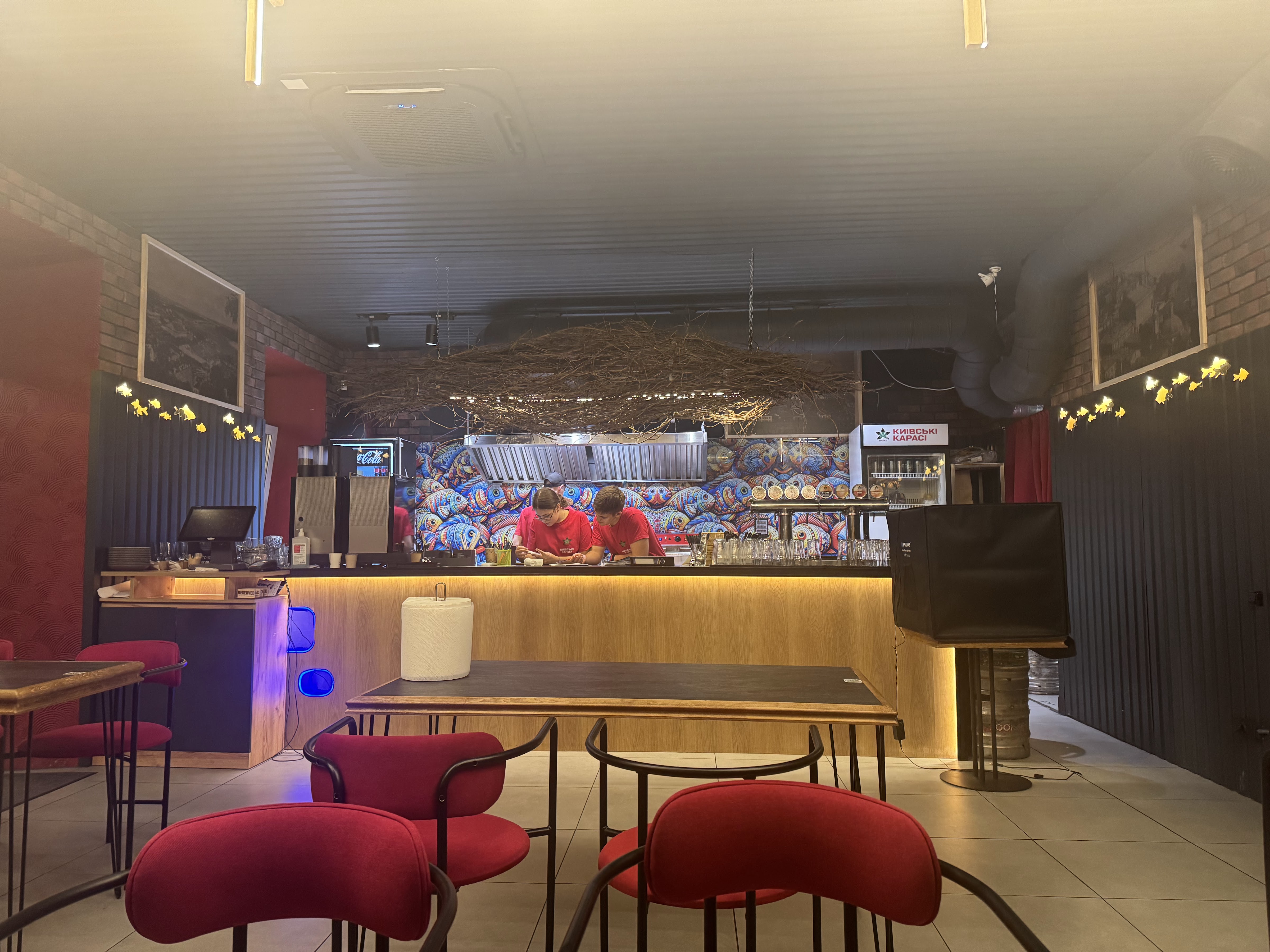 Kyyivsʹki Karasi image 10