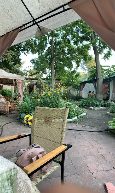 Olvi image 1