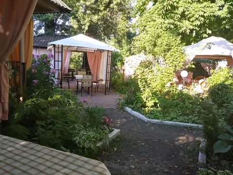 Olvi image 4