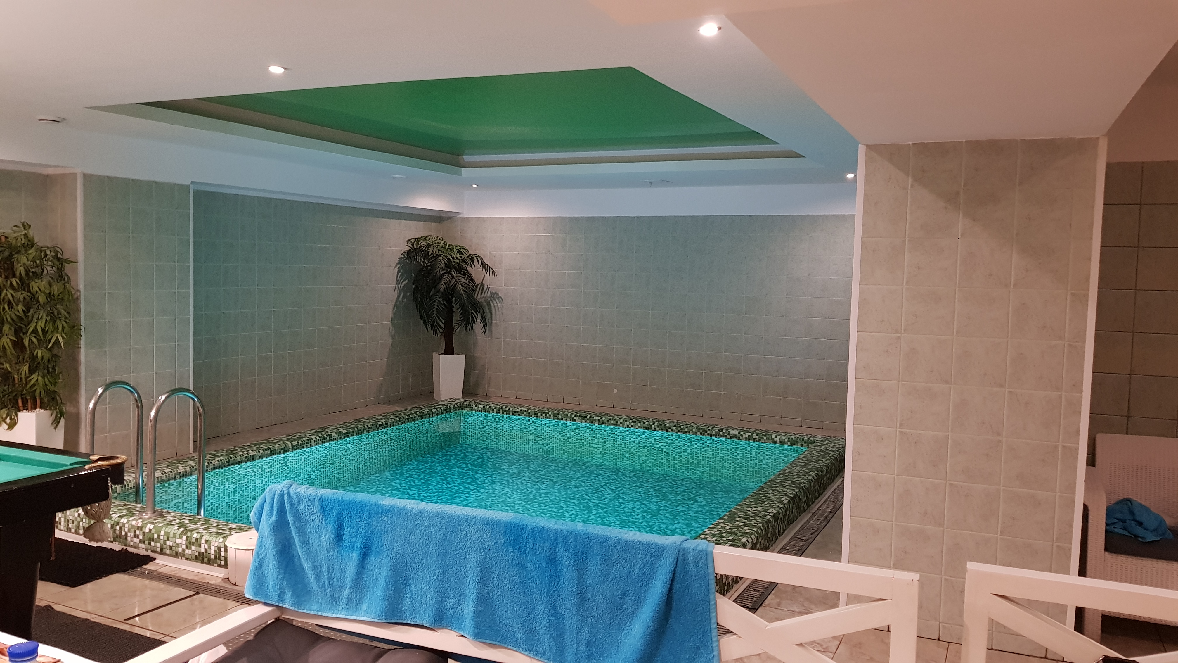 Gold Saffron image 8