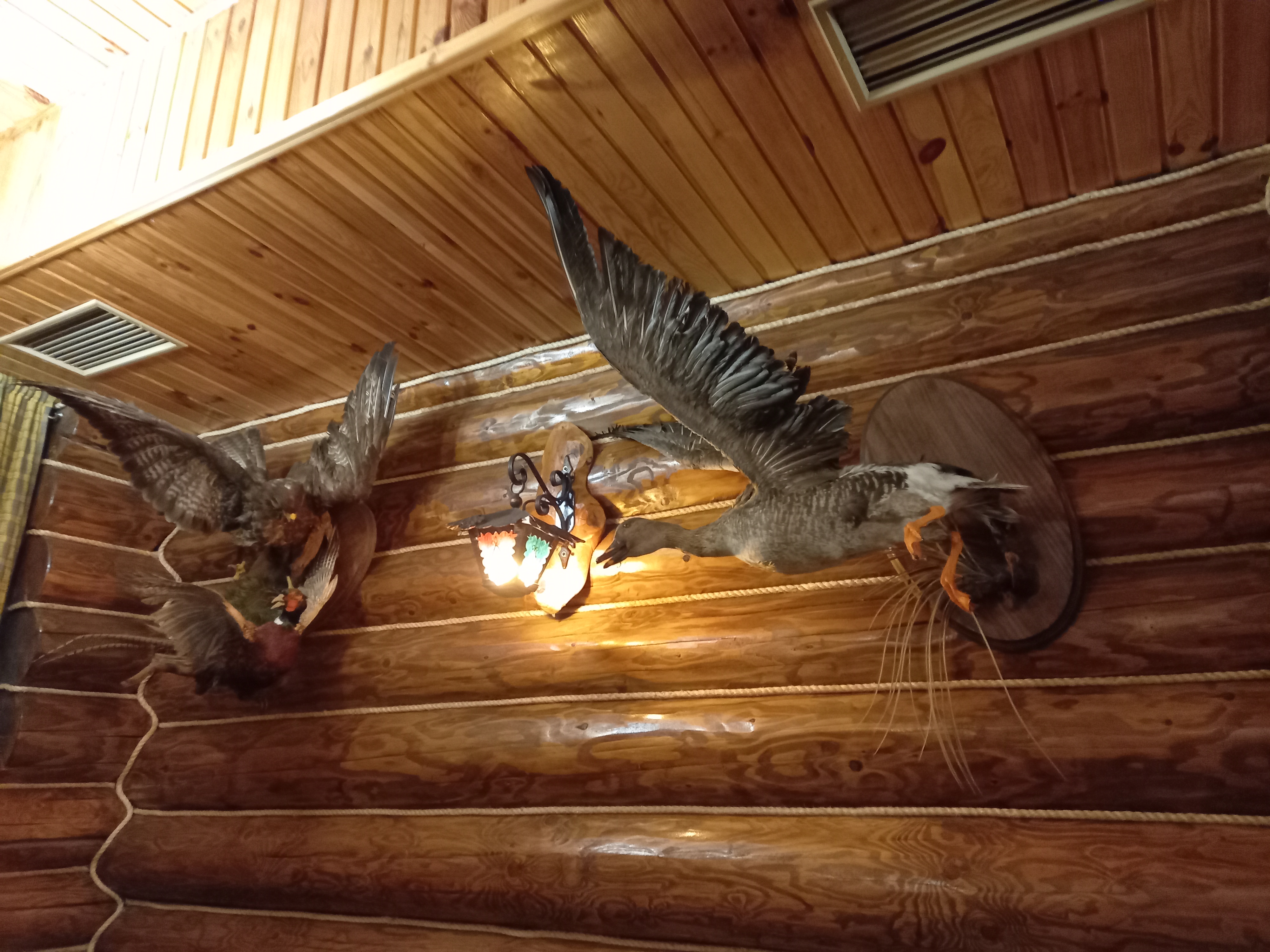 Zakarpat·sʹka Kolyba image 8