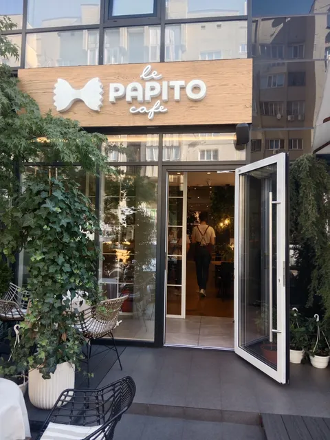 le PAPITO image 6