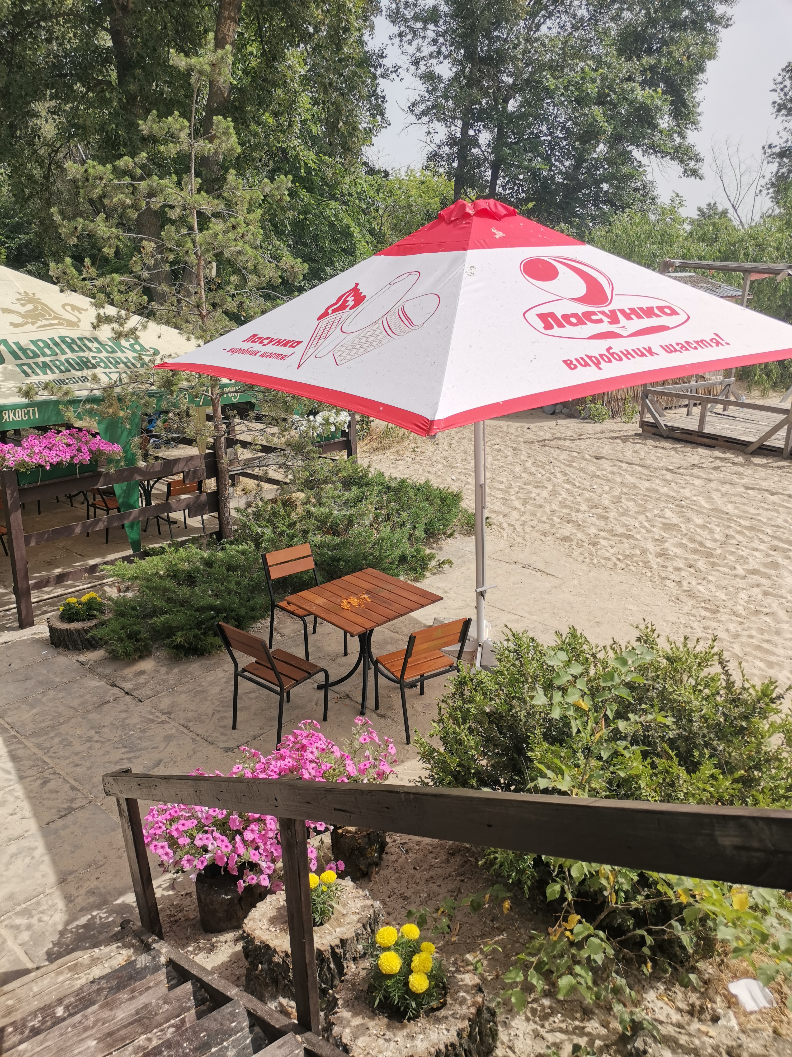 Африка image 10