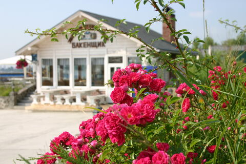 Tavern "Jolly Light Keeper" image 5