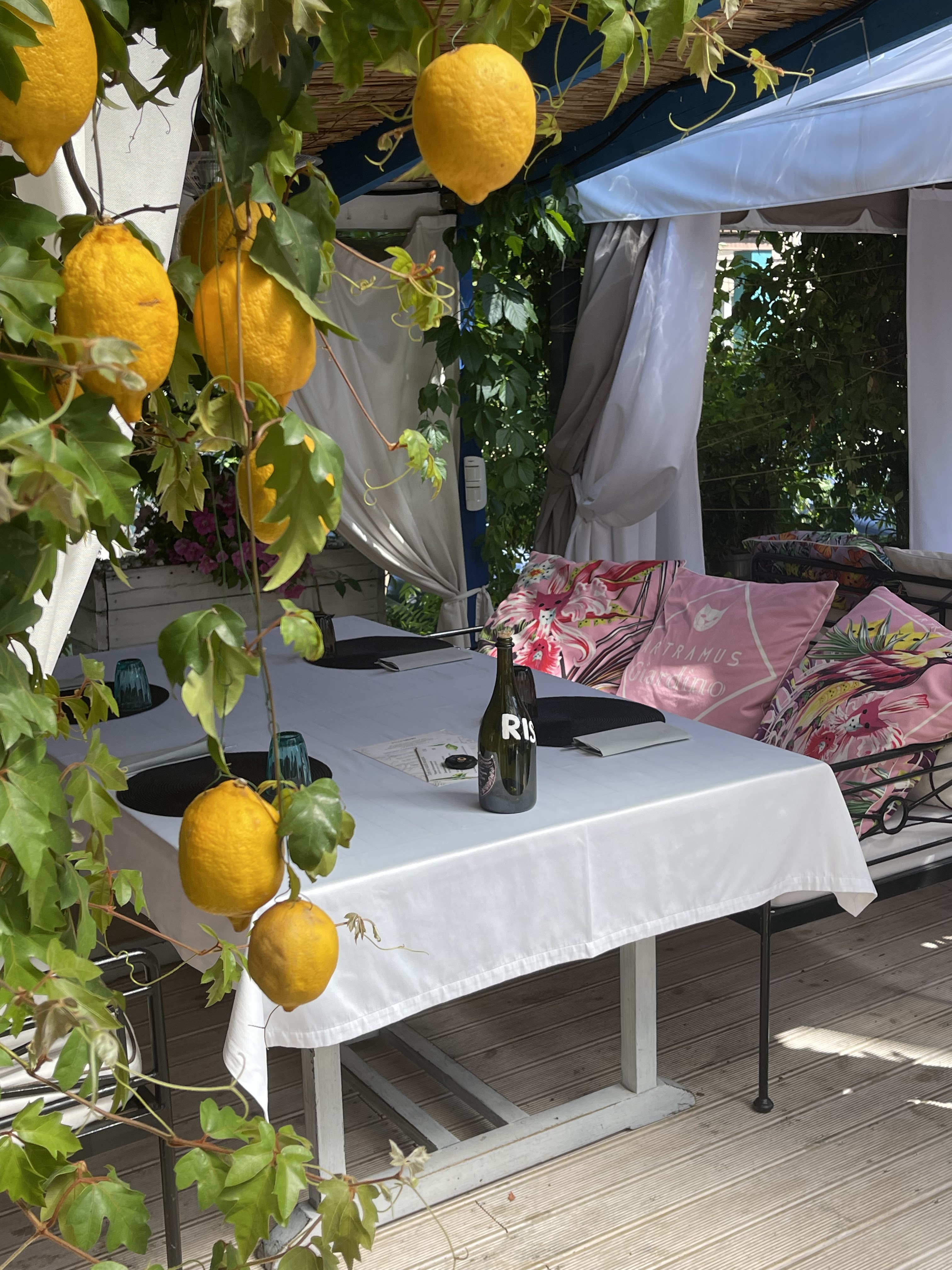 GIARDINO italian restaurant image 4