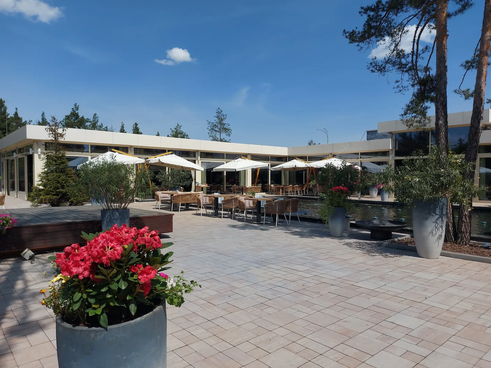 Harvest restaurant image 4
