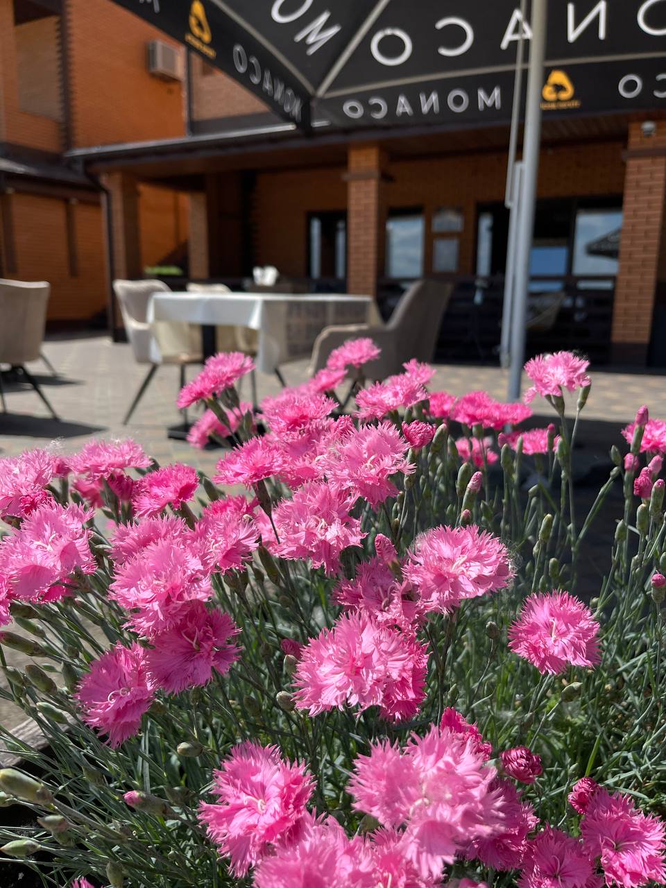 Beluga Restaurant image 6