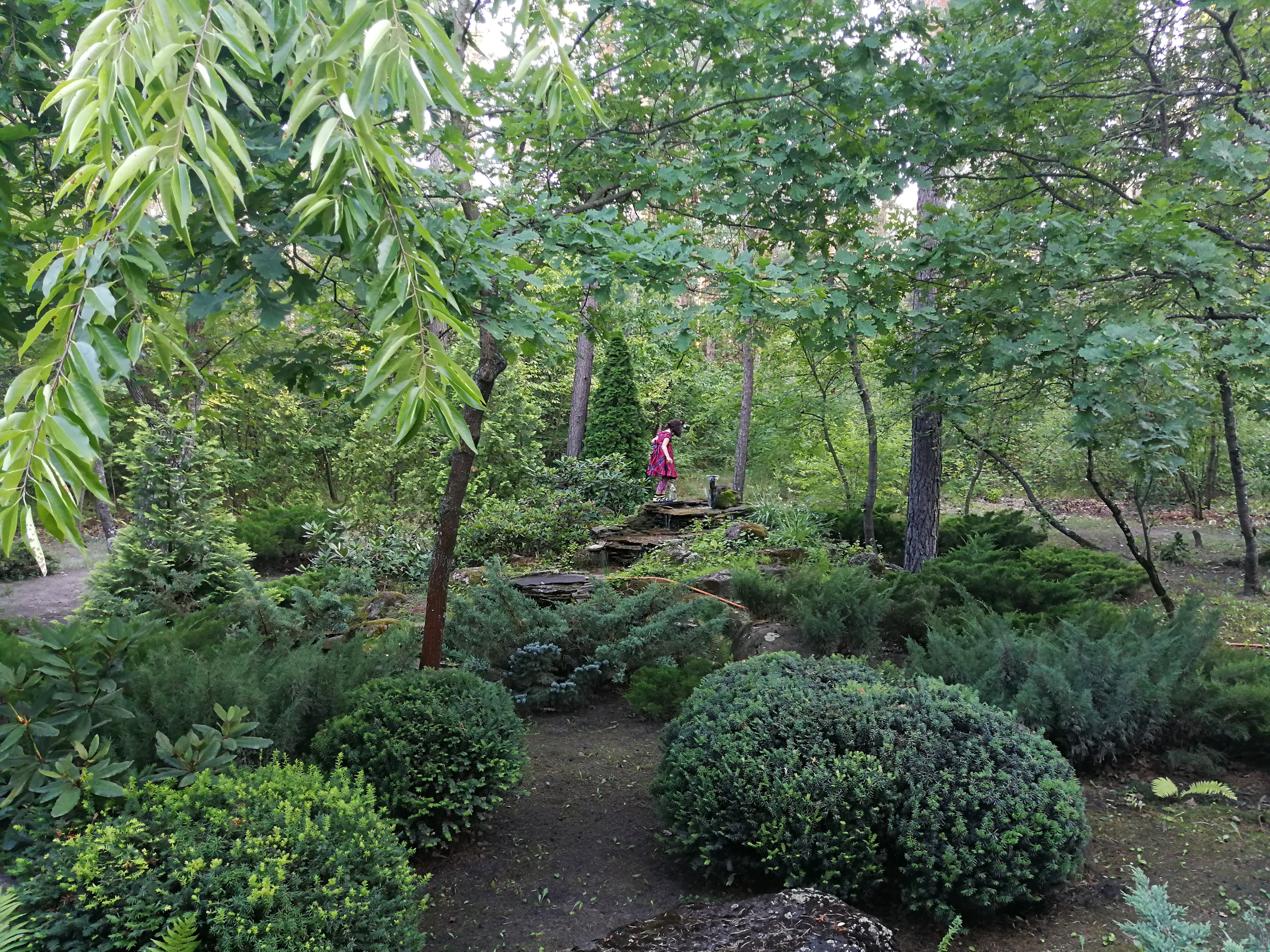 Merchant's yard image 9