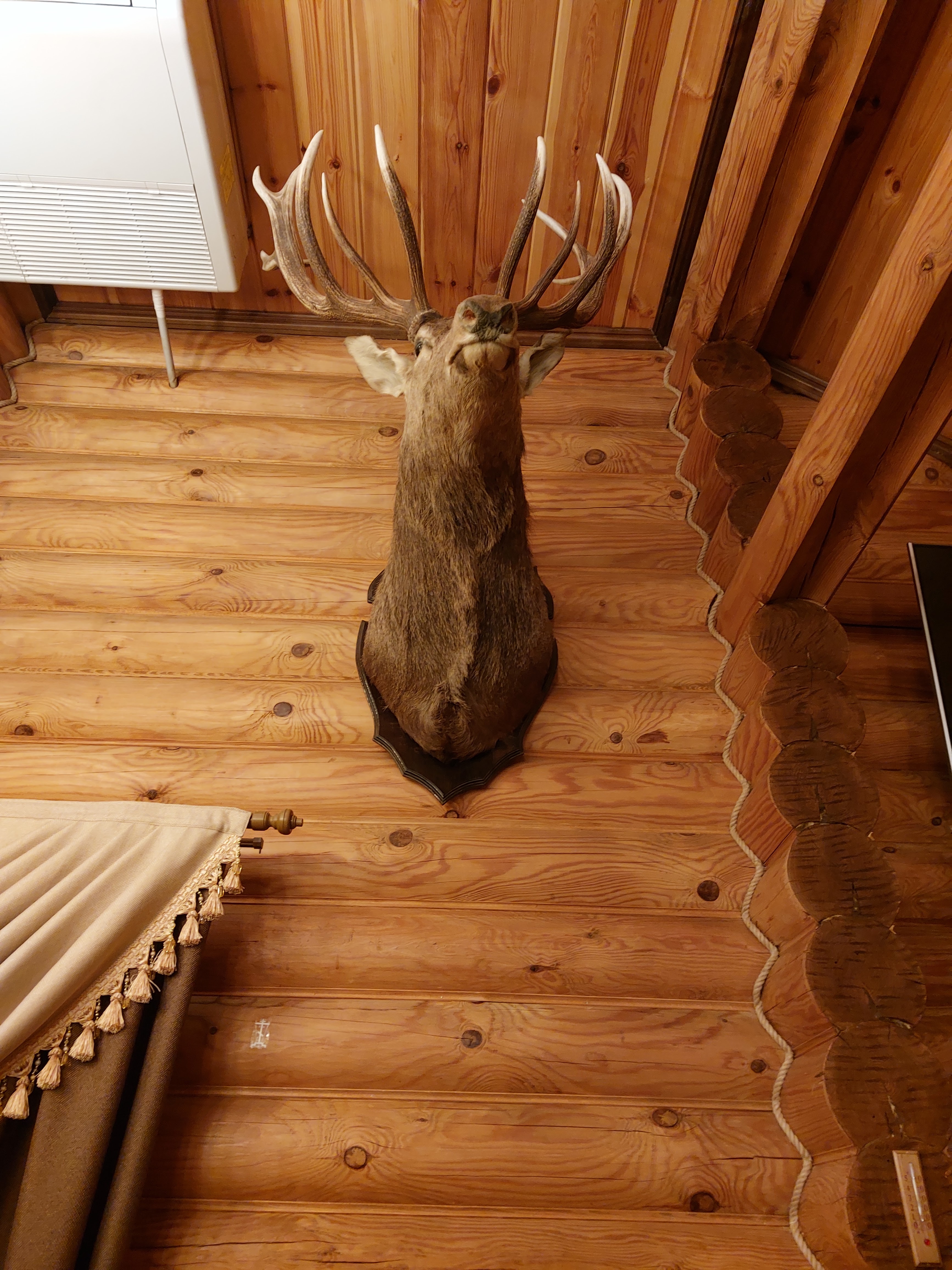 Ольгерд image 9