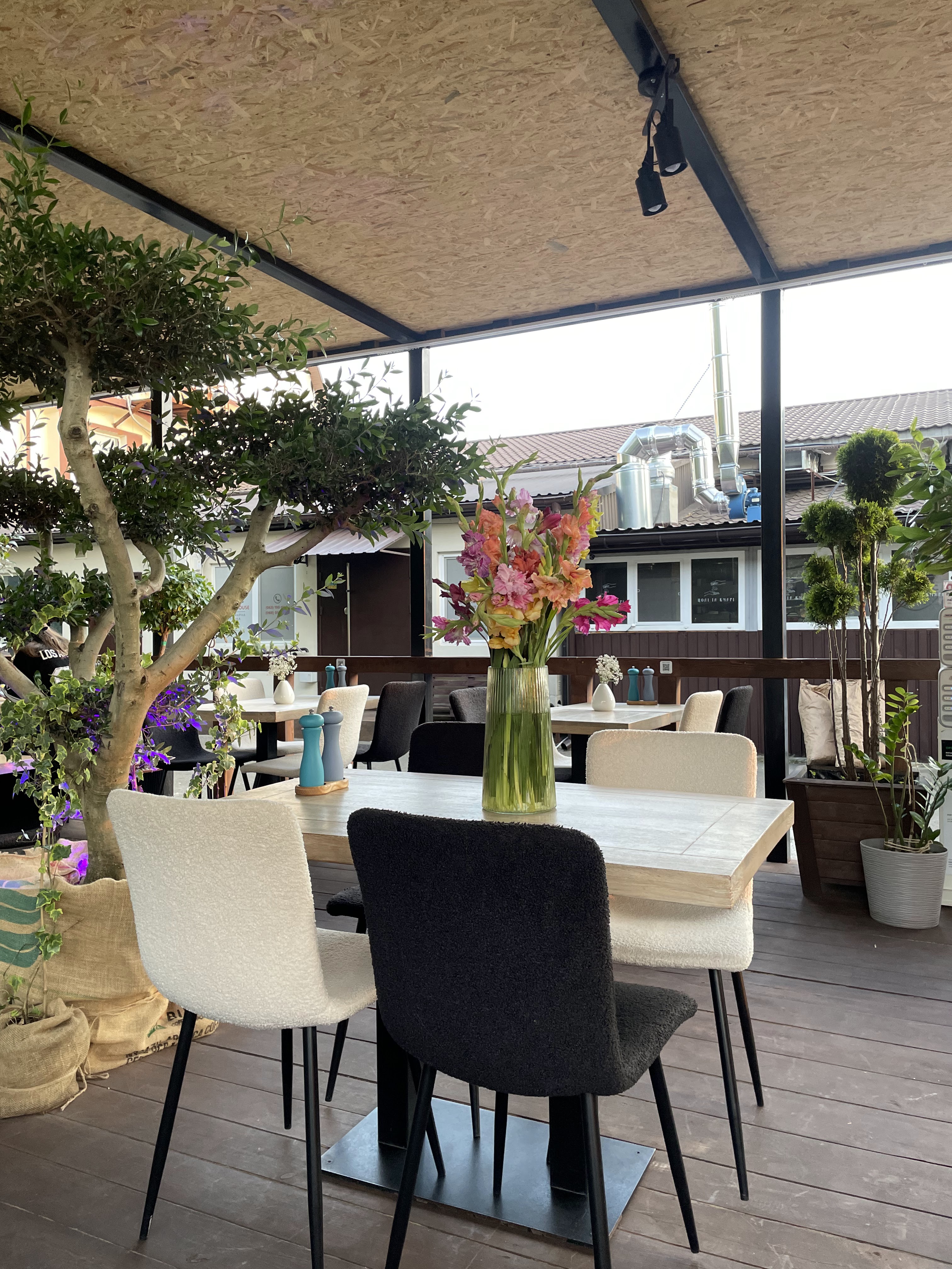 Цолі та Кмарі image 5