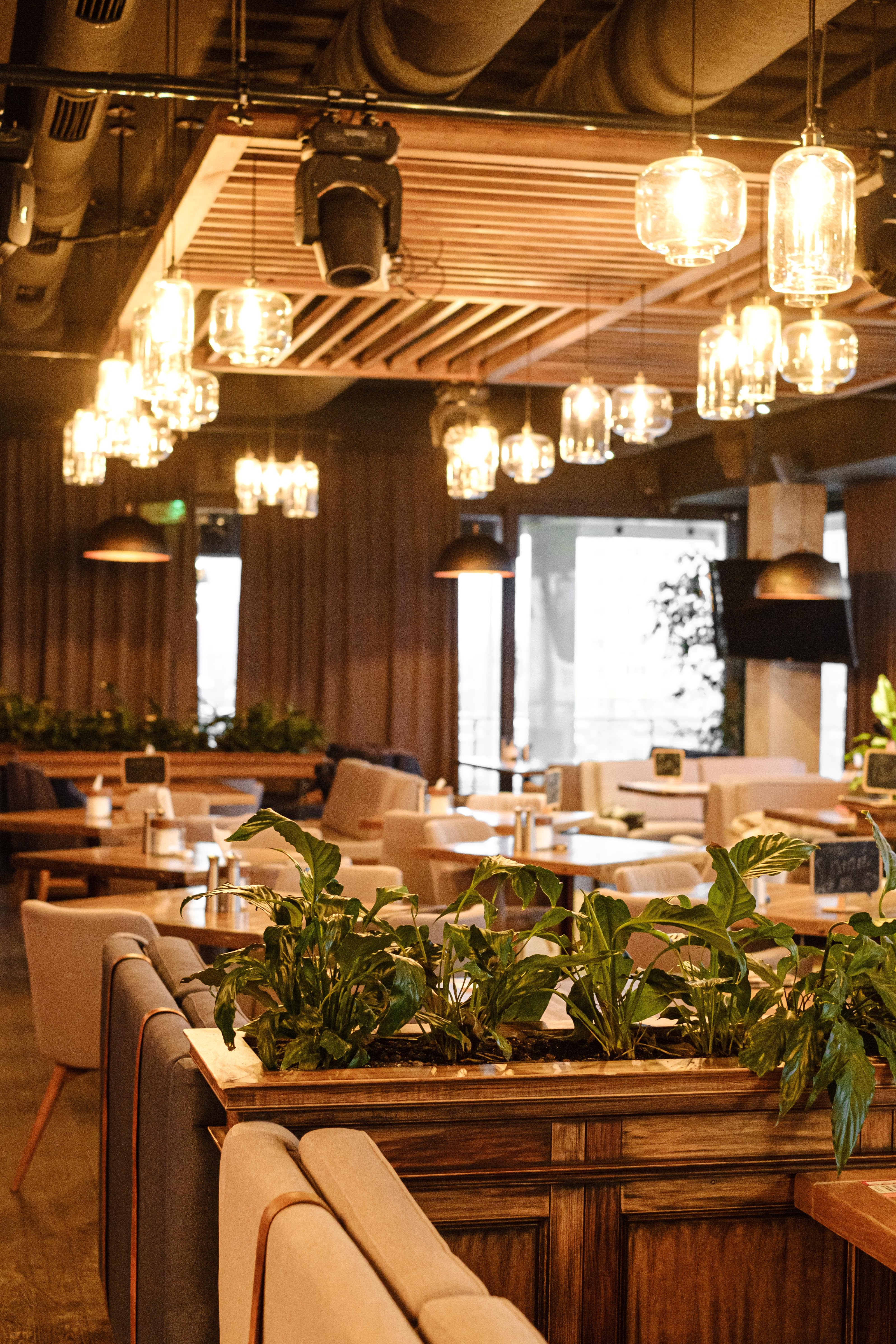 Kukhmeyster. Dim-Restoran image 6