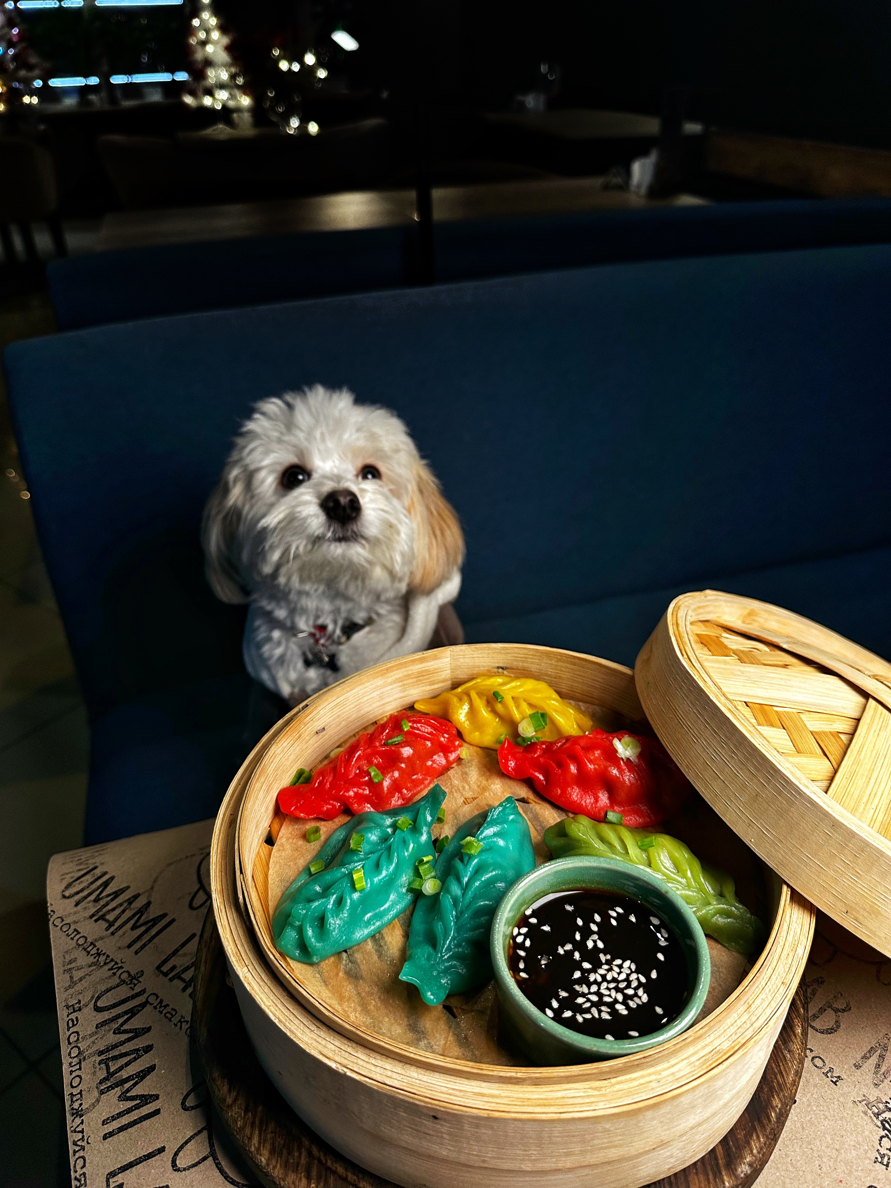 Umami Lab №5 image 10