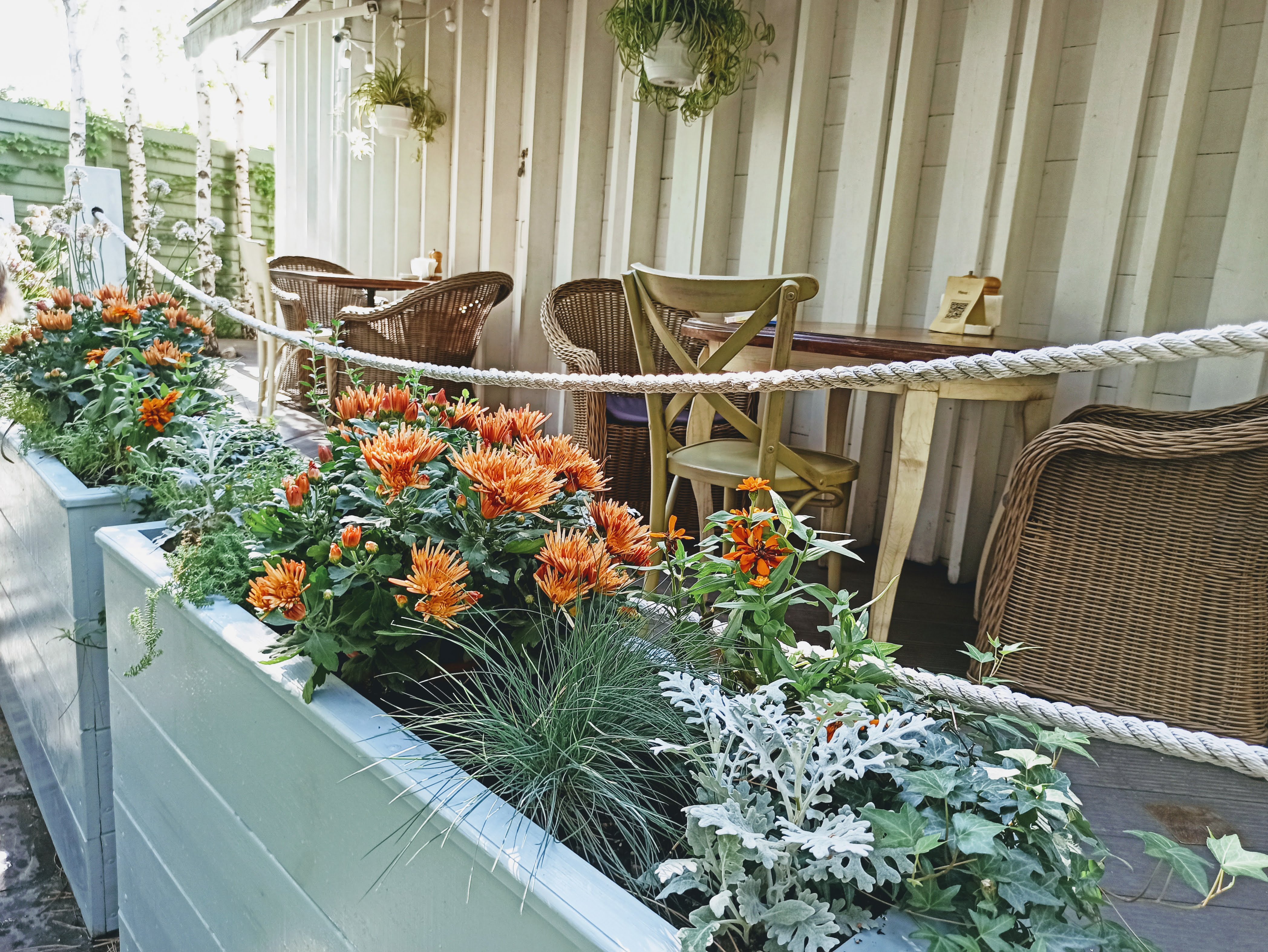 Тарілка image 4