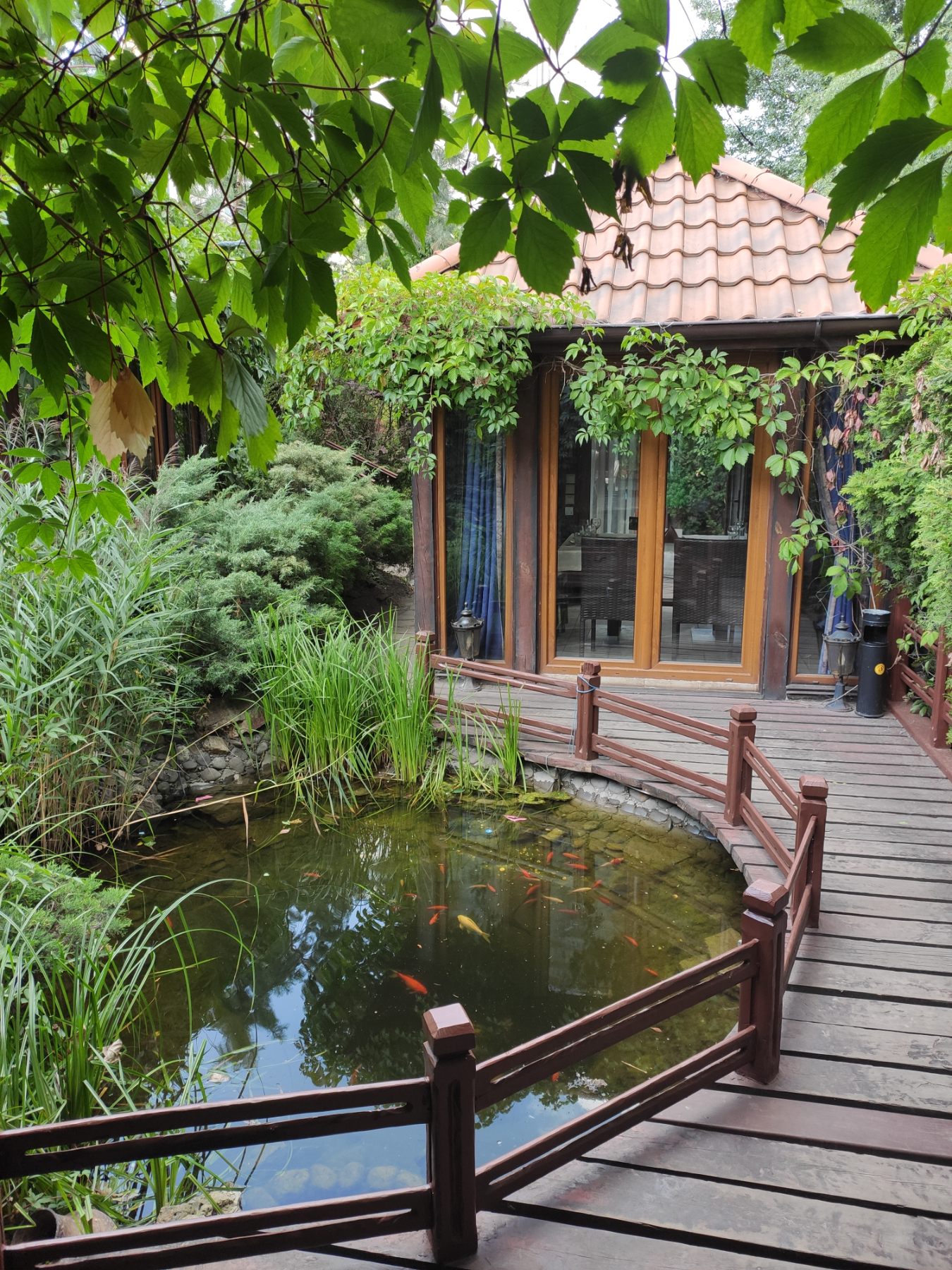 VANO IVANO Telbin image 5