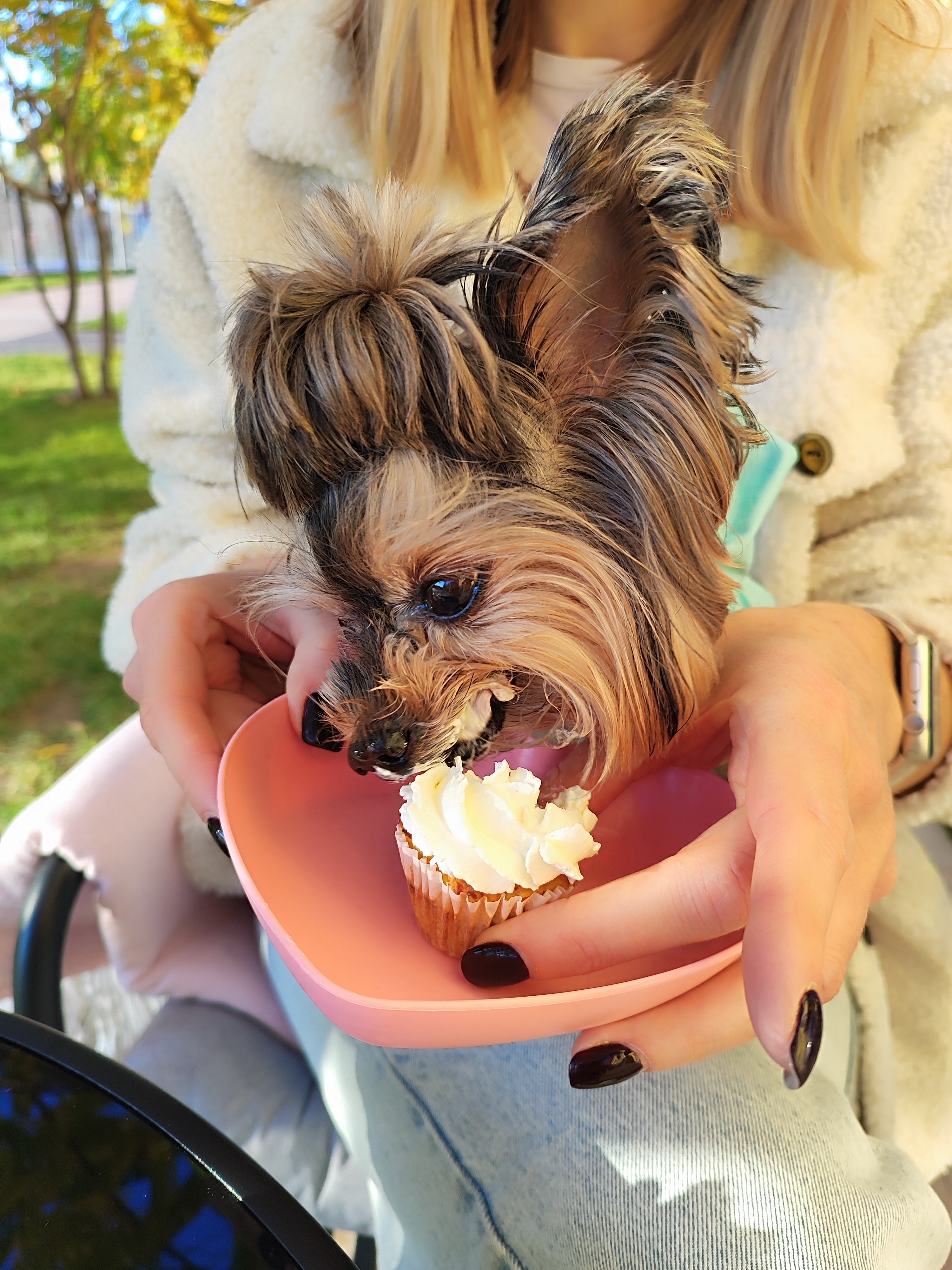 Fluffy&Family image 2