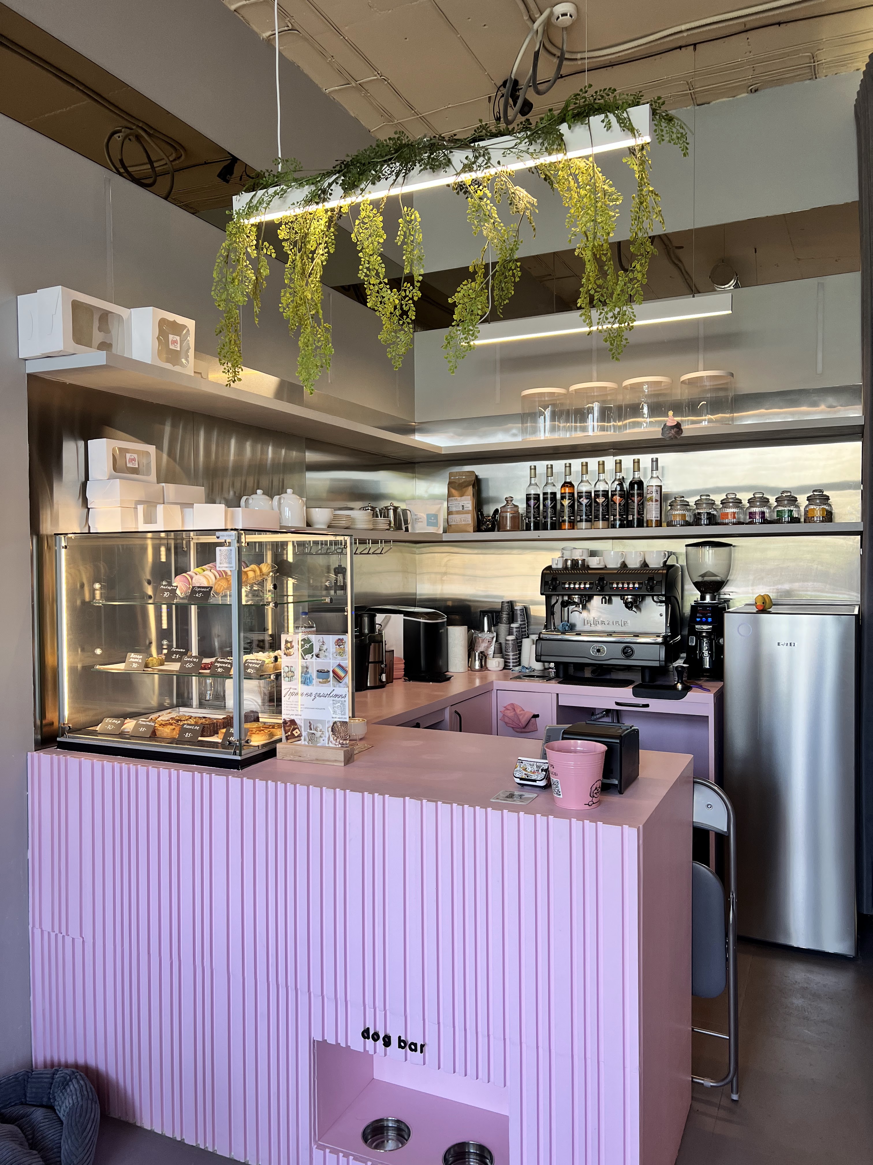 Fluffy&Family image 4