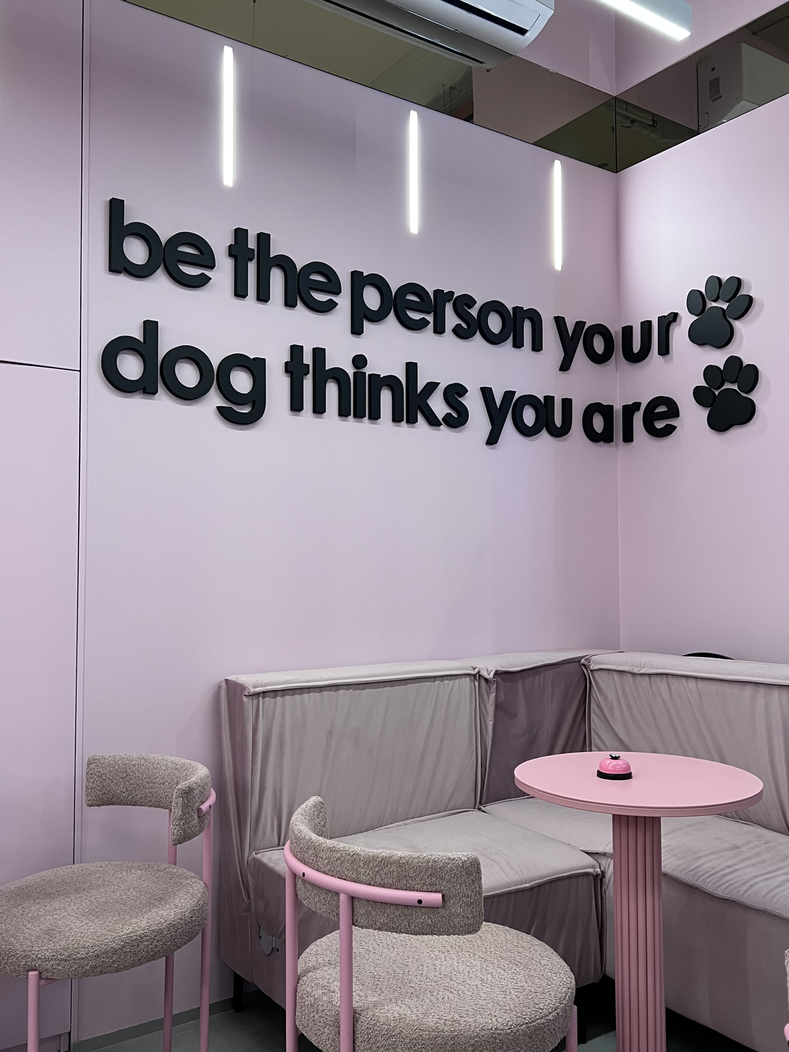 Fluffy&Family image 8