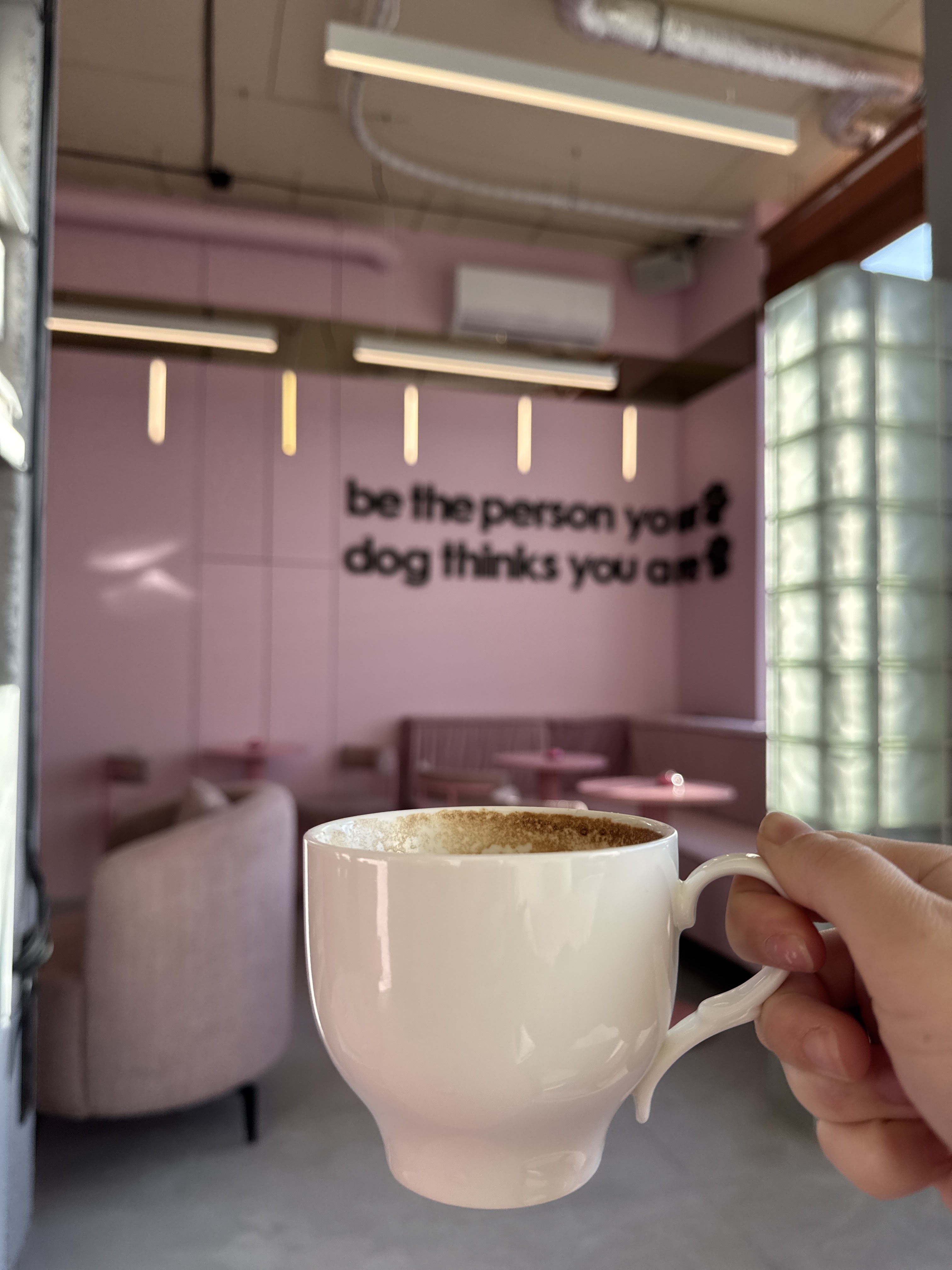 Fluffy&Family image 9