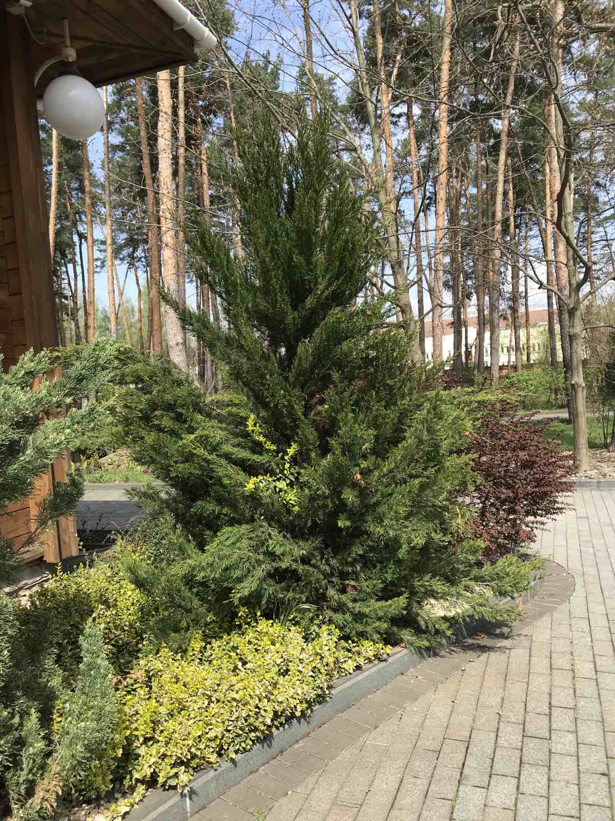 Зелена Садиба image 7